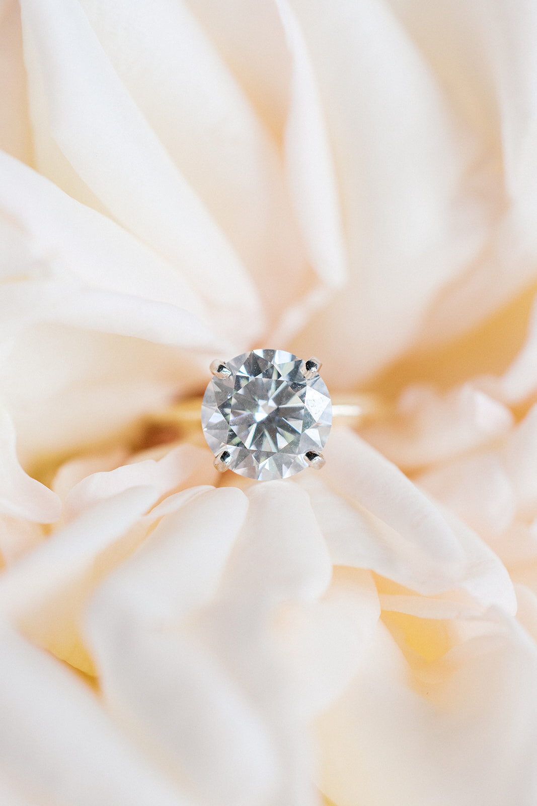 Round solitare engagement ring sits in peach flower