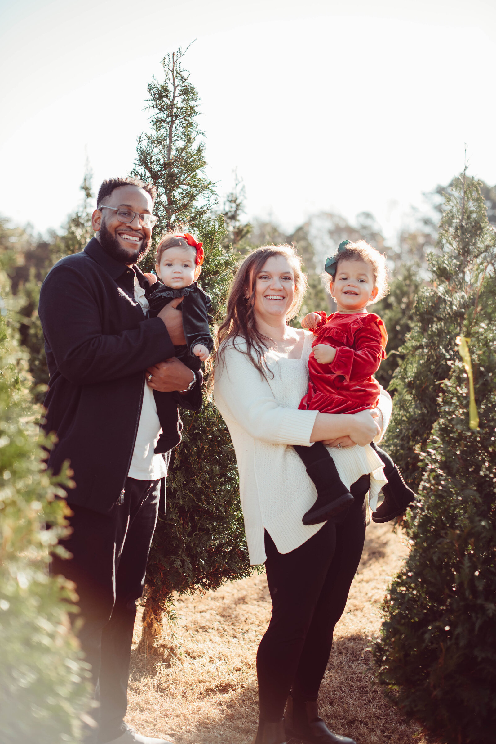 Cole Tree Farm 2023 13