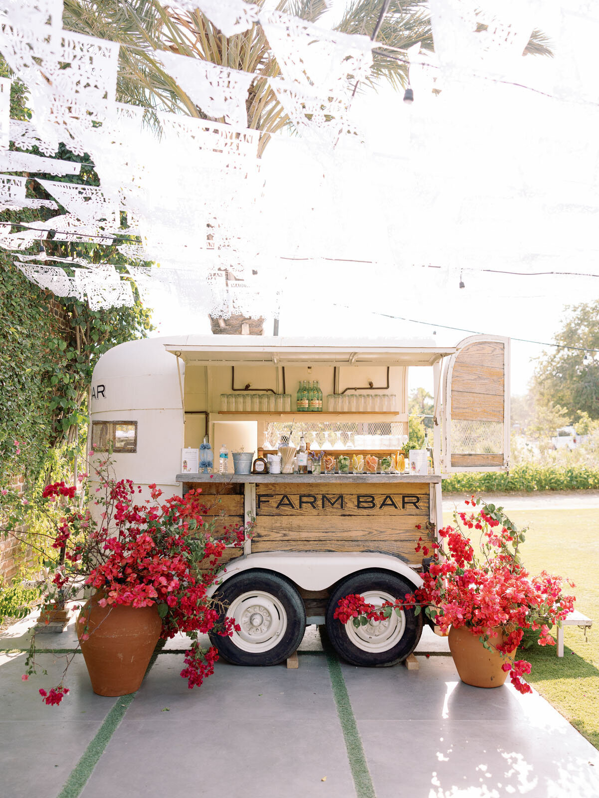 Dylan & Maddie - Wedding - 0566