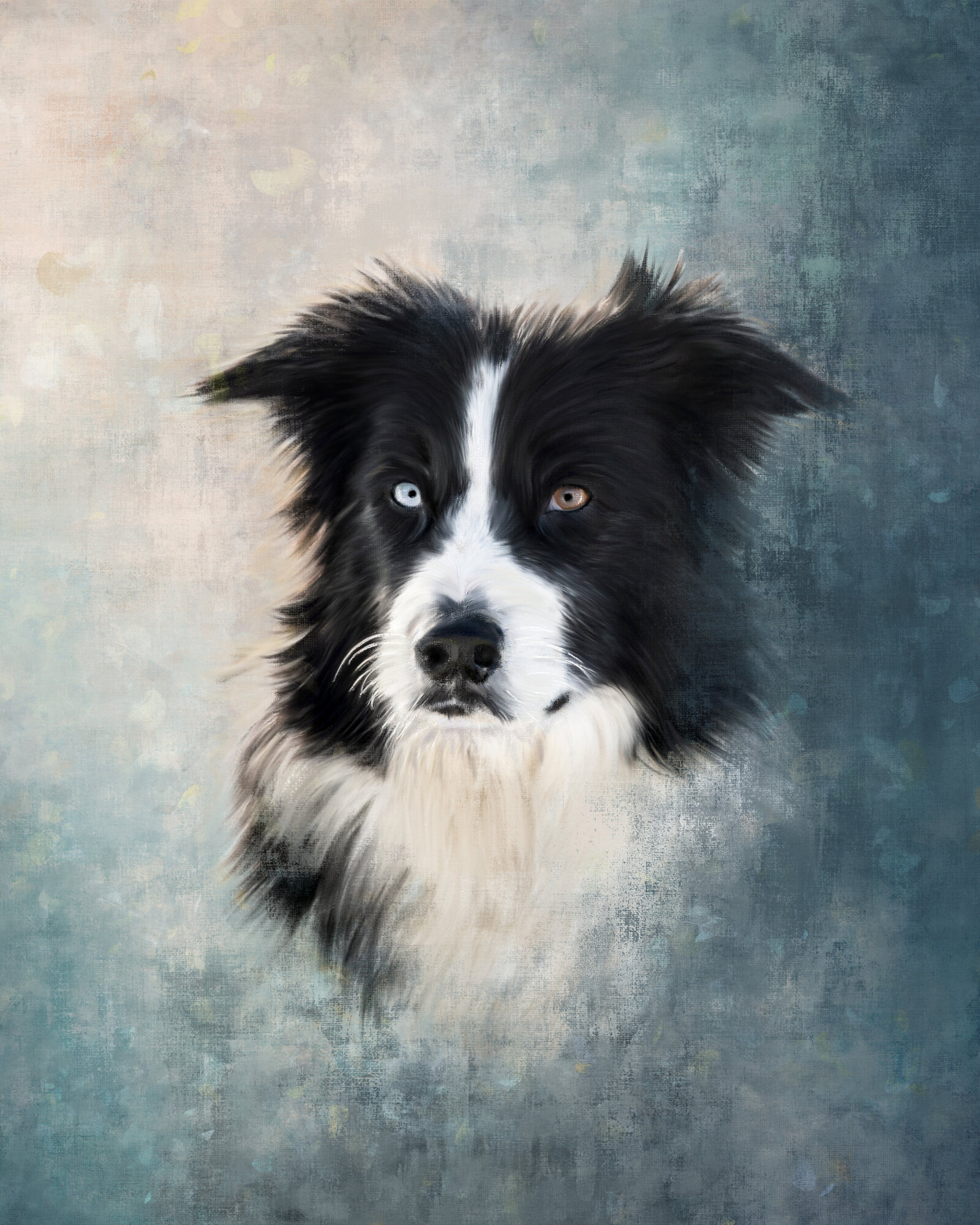 painted dog, pet portraits, pet artist