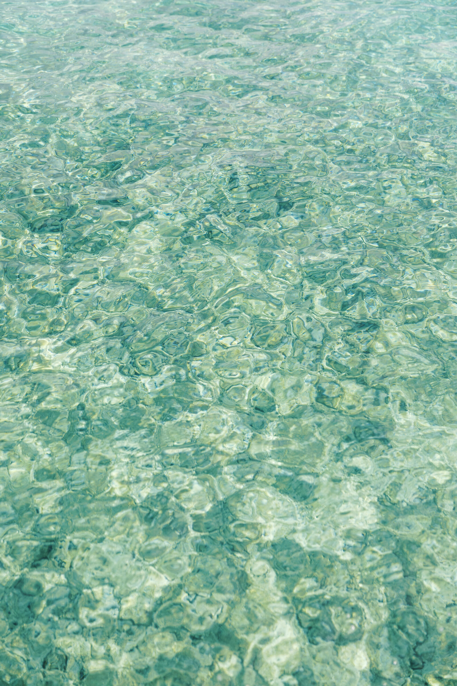 Bride and groom walk up memorial steps at their DC wedding