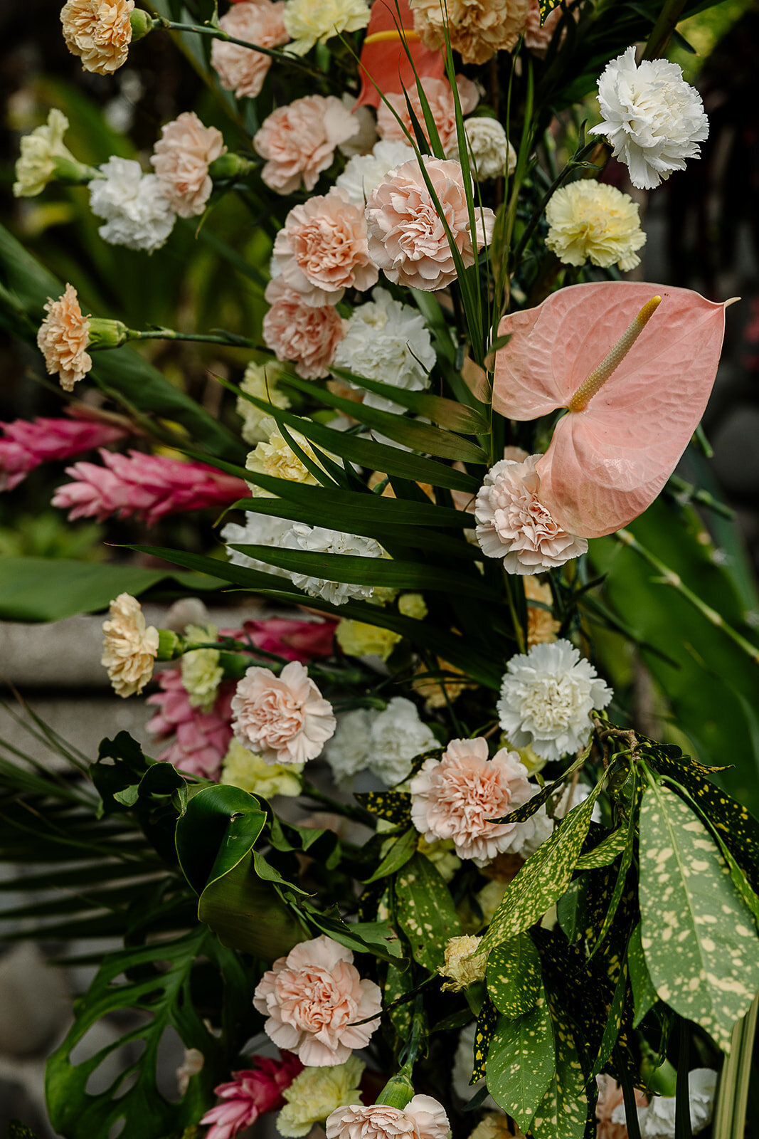 9519852716.jpg_exif1