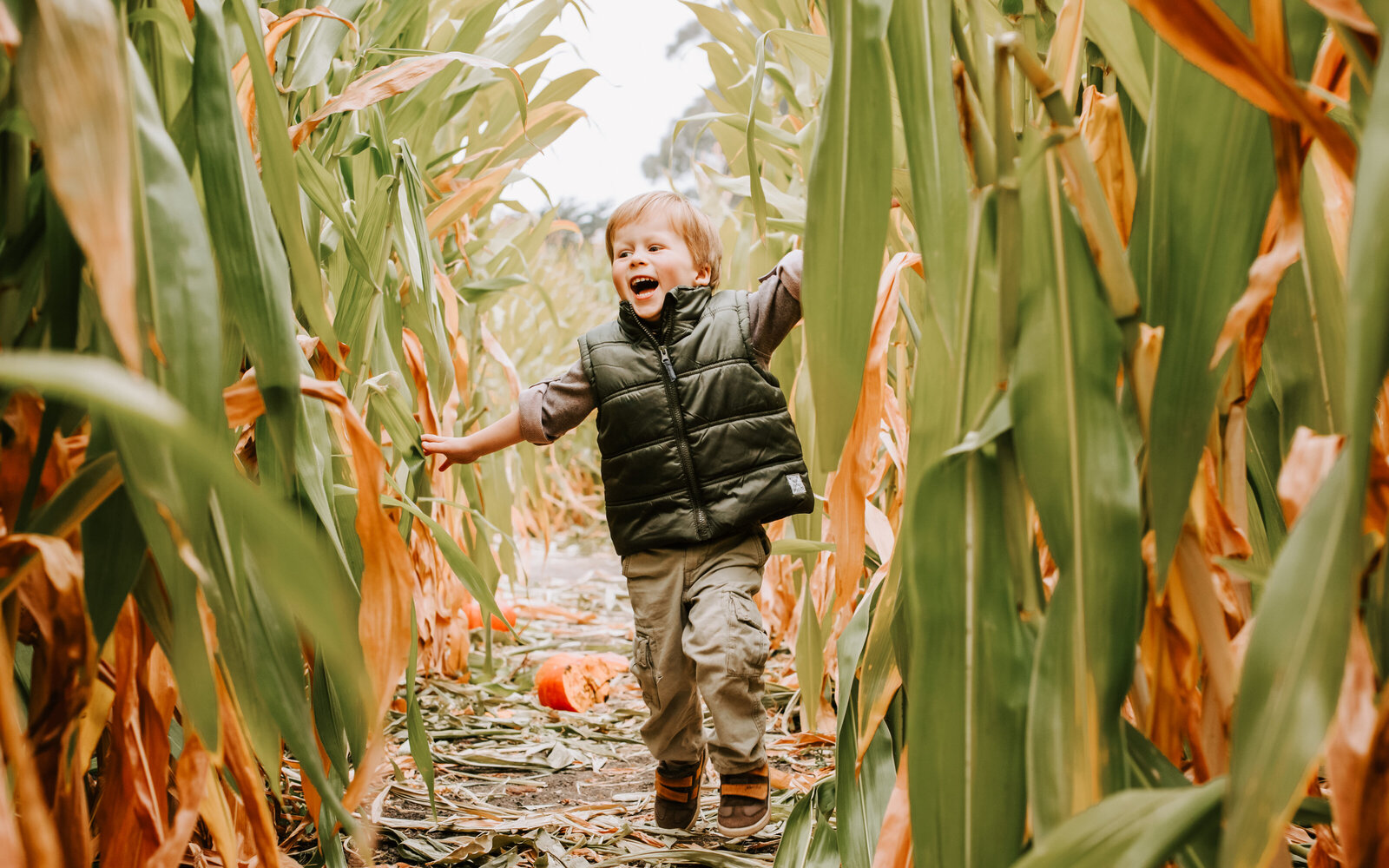 smiling young boy running through a corn field