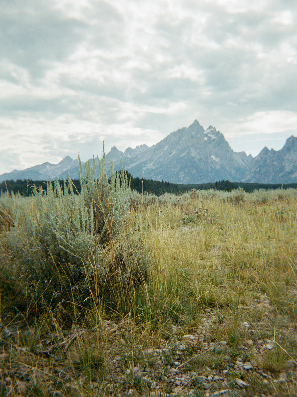 2022 Jenny Shipley SS Jackson Hole Holga-12