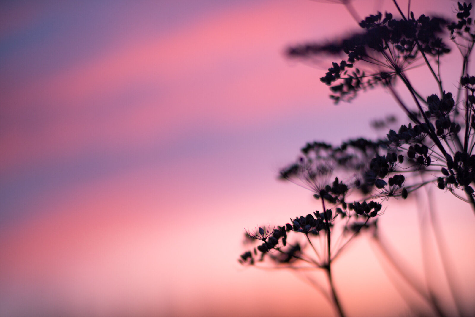 fine_art_photographer _021