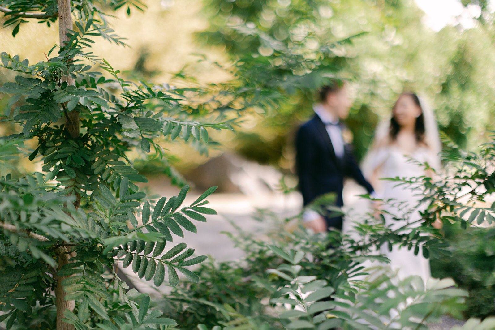 Denver Botanic Gardens Wedding 51