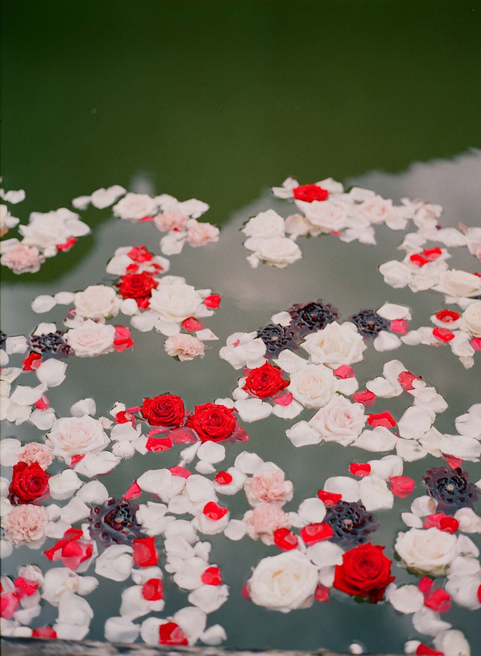 037wedding_lafoce_tuscany