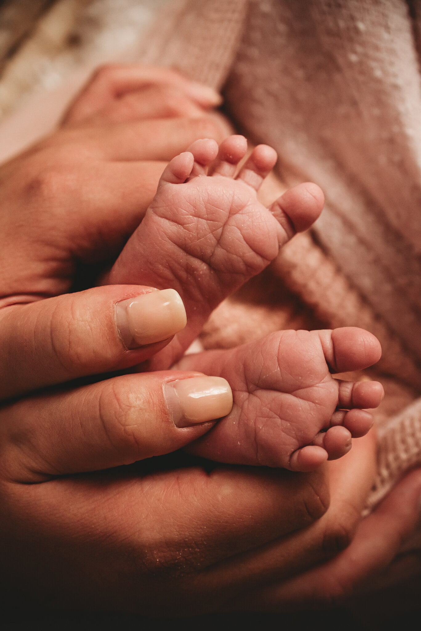 marks-bismarck-studio-newborn-7