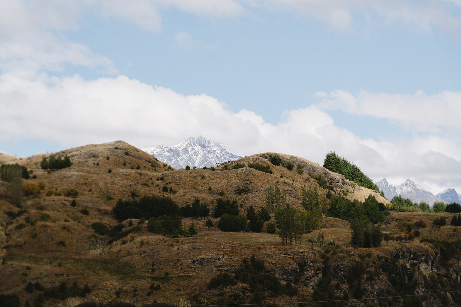 Ben Lomond Lavender Farm Wedding