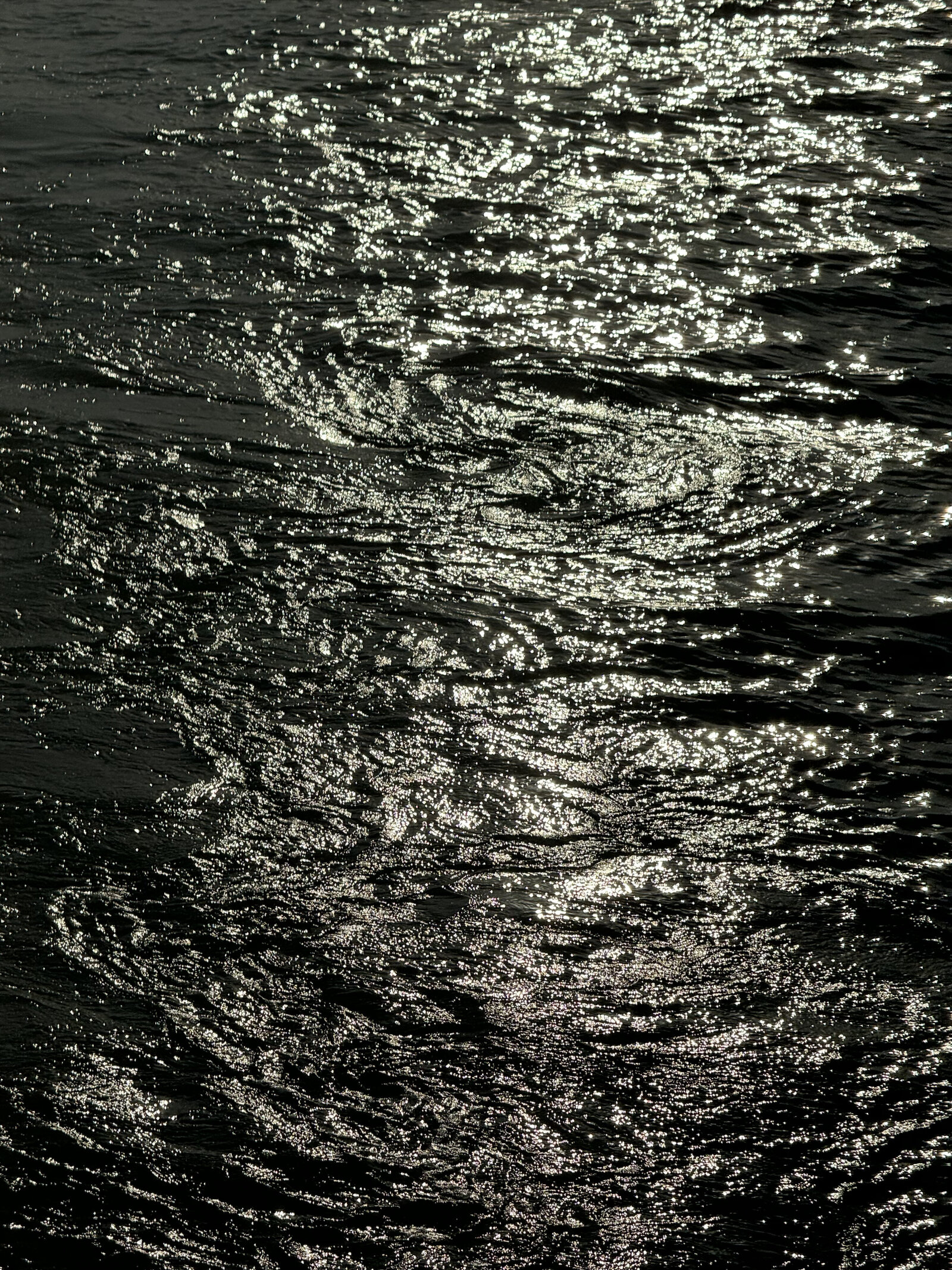 IMG_2698