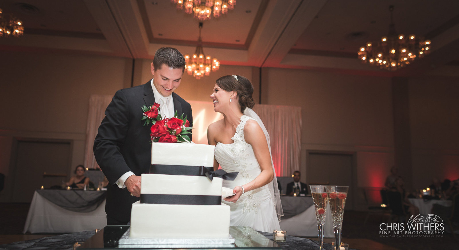 Springfield Illinois Wedding Photographer - Chris Withers Photography (13 of 16)