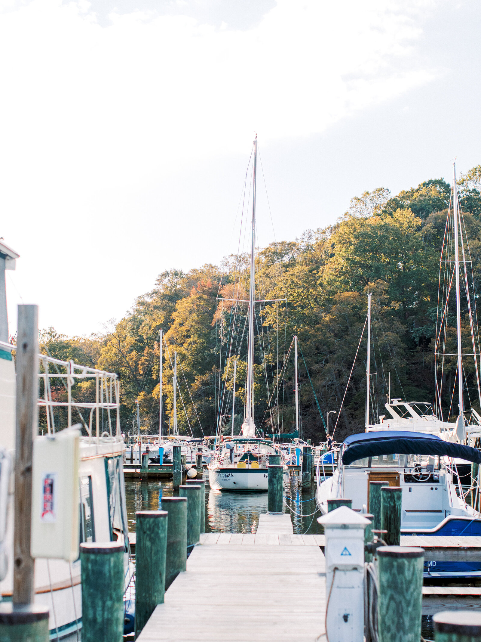 Annapolis Wedding Photographer, Stacy Hart Photography_1088