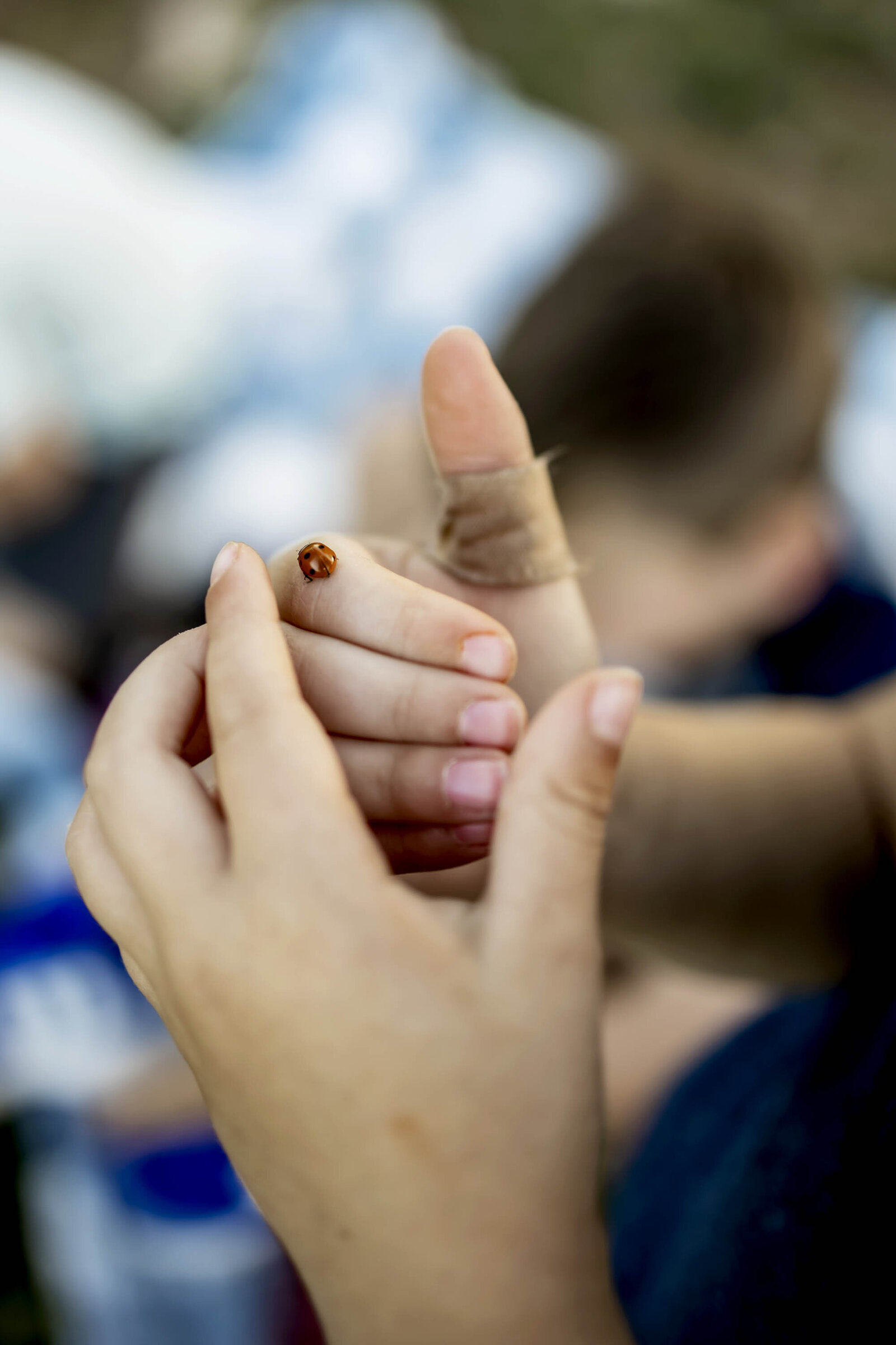 a boy with a ladybug on his hand