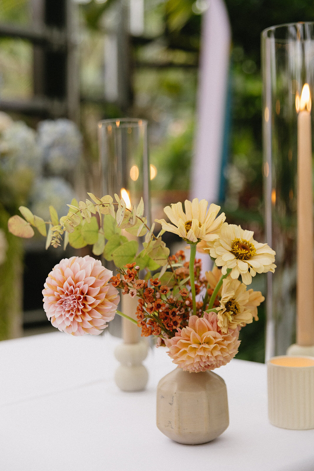 imanleeevents-sandiegoeventplanner-sandiegopartyplanner-sandiegobotanicgardens20241004_19_09_12
