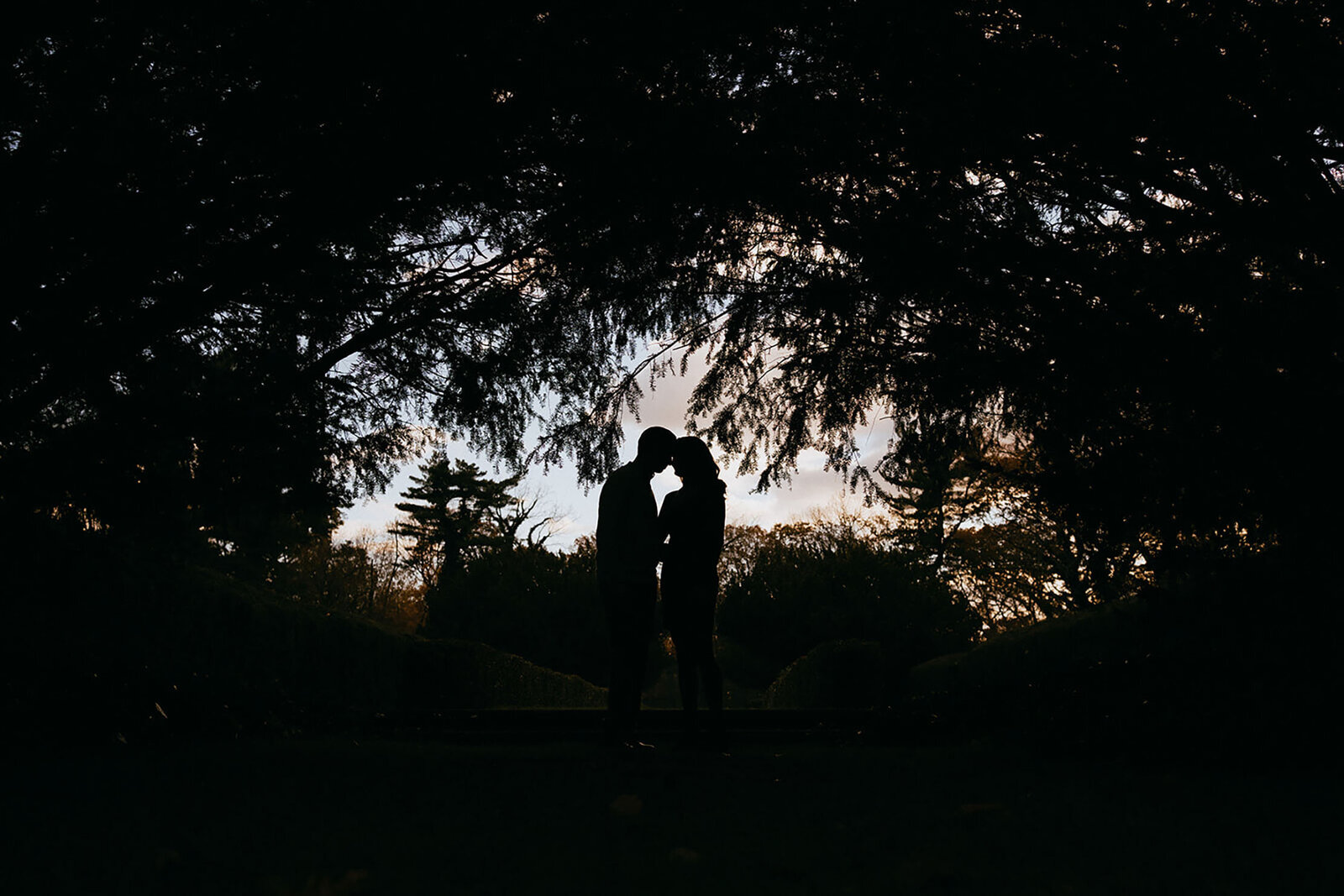 ClaireEricEngaged_0056_Highlights
