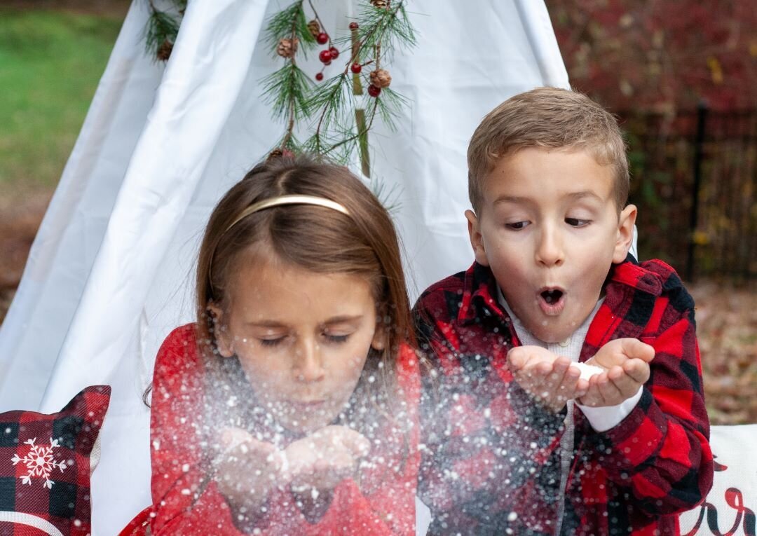 Christmas mini session Gatlinburg TN