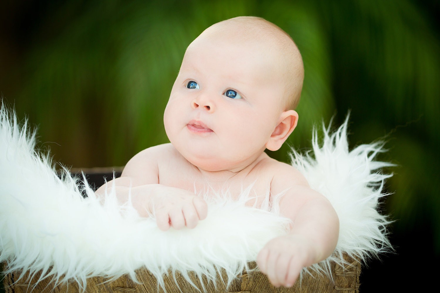 san diego newborn photography | newborn with big blue eyes in a basket