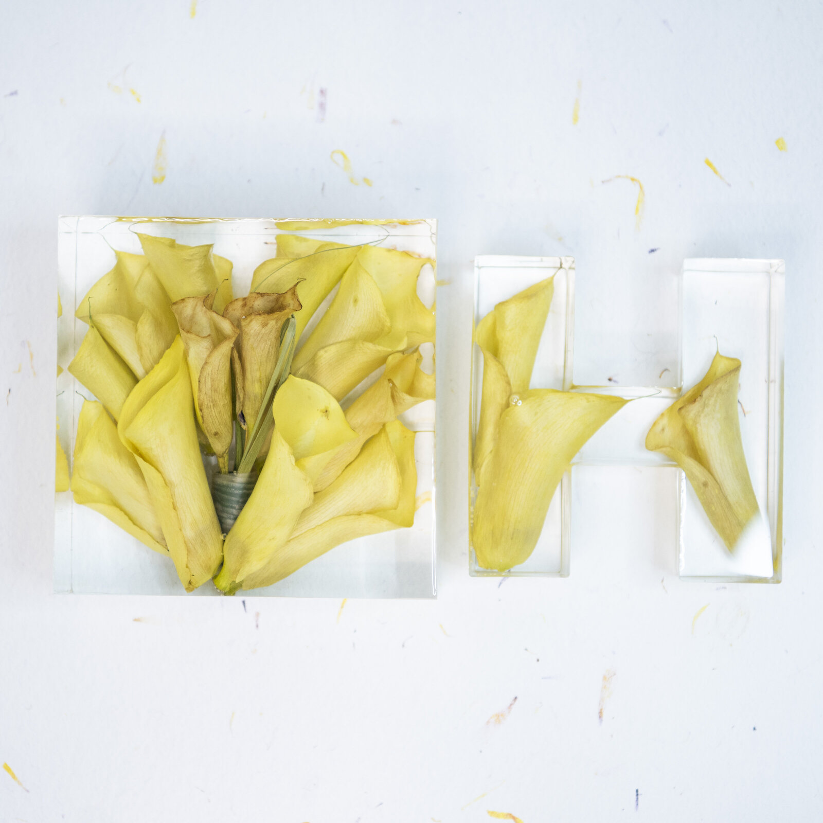 block6 bout monogram yellow lily AshantaM