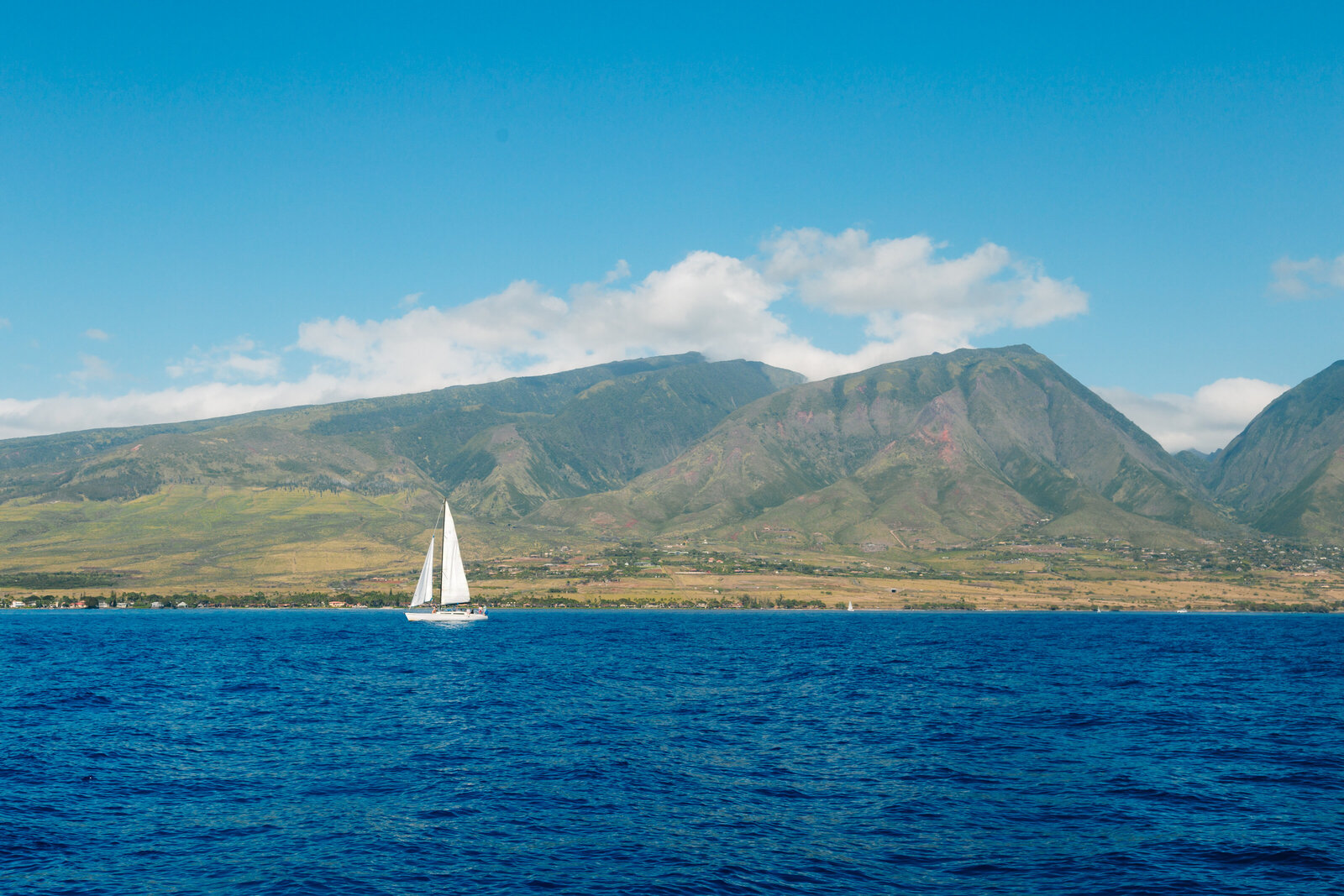 Maui Hawaii Elopement 186