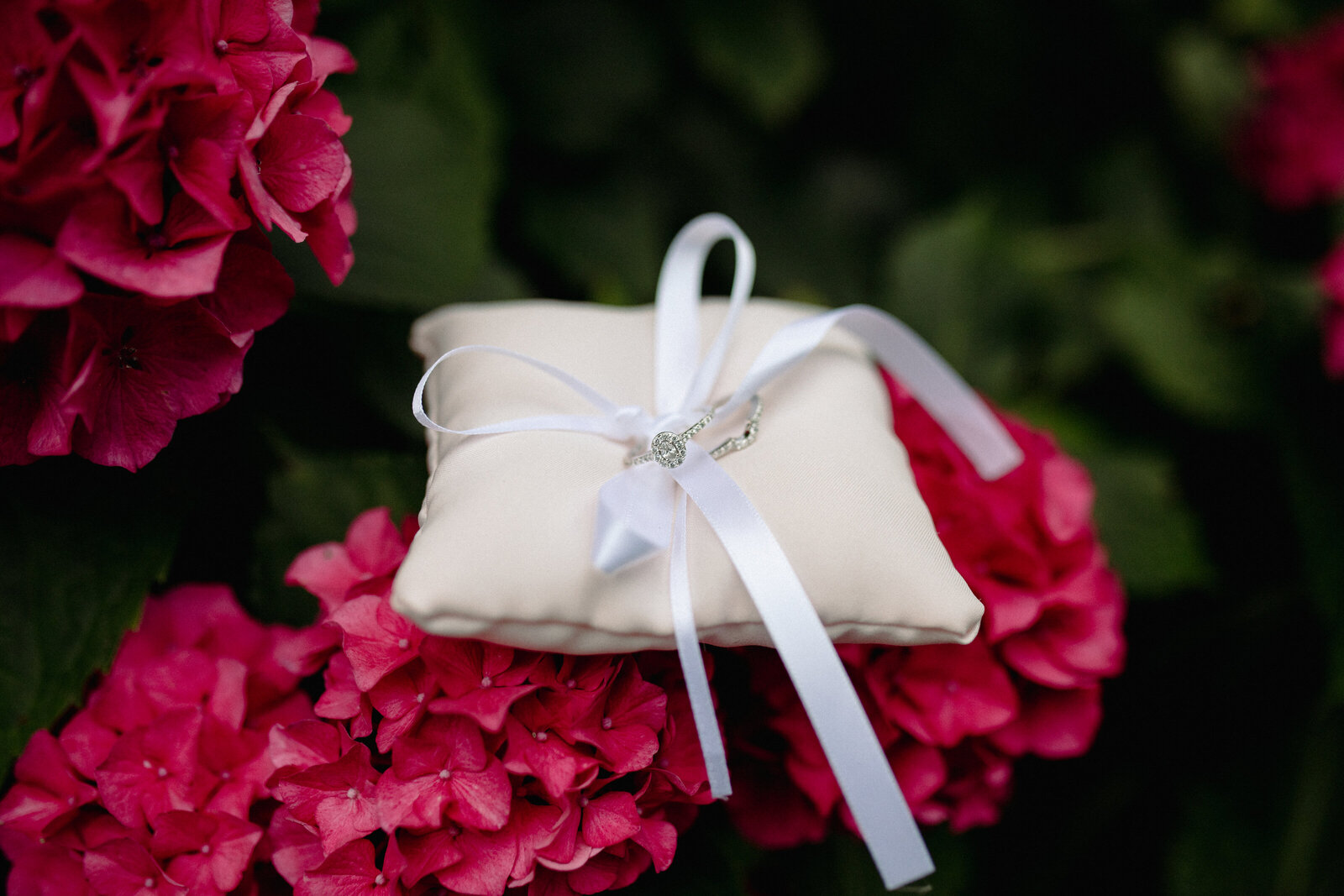 PNW Wedding & Elopement Photographer
