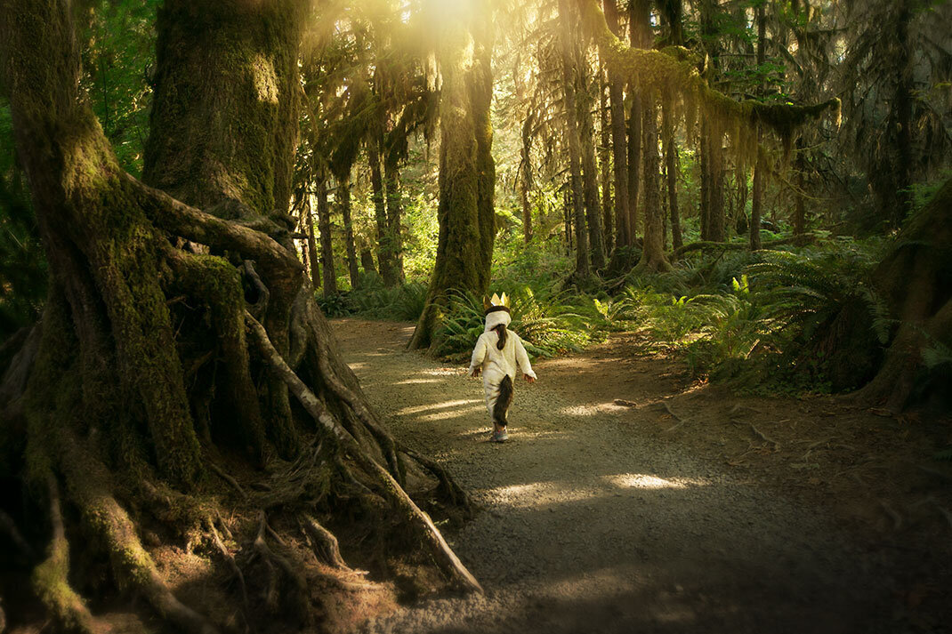 4where-the-wild-things-go-roam-redwoods-national-park-california-children-book-classic-chid-photographer