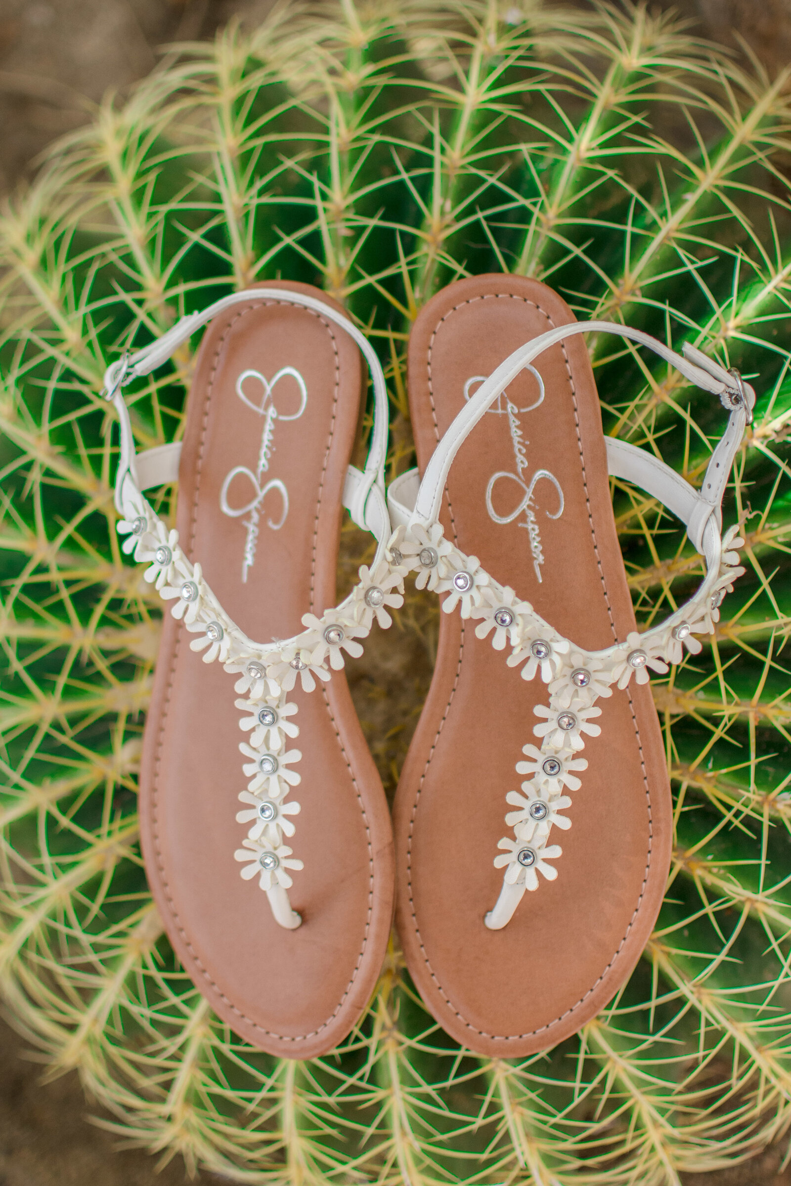 Kristy&BryanWedding-5