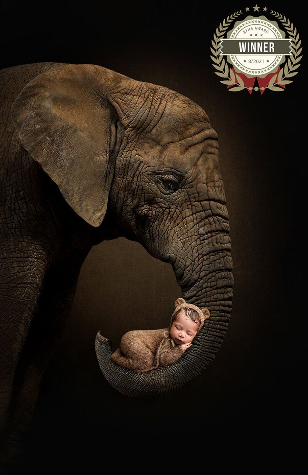 Newborn portrait photography in Charlotte studio