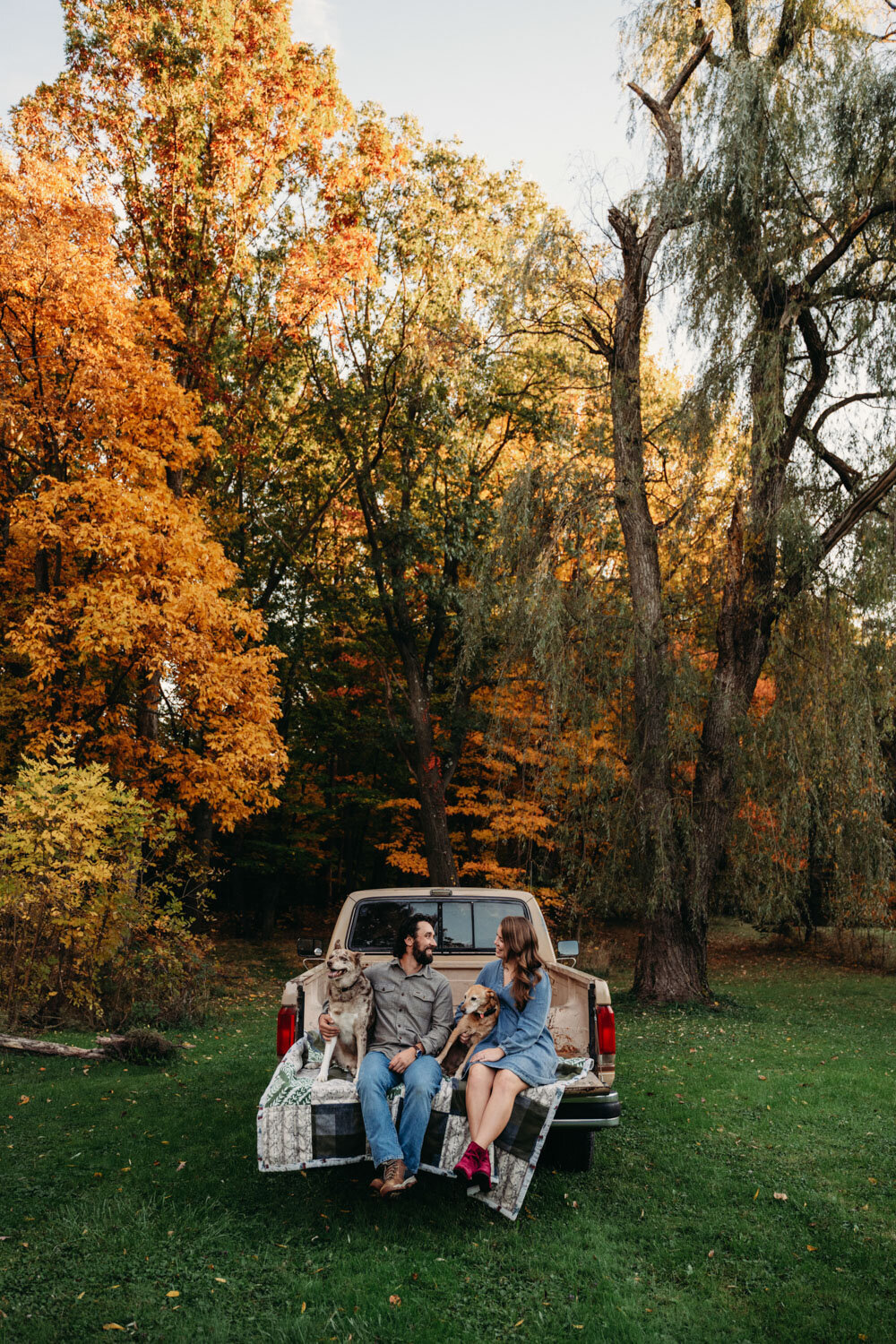 Engaged couple sit on old truck with their dogs in backyard session