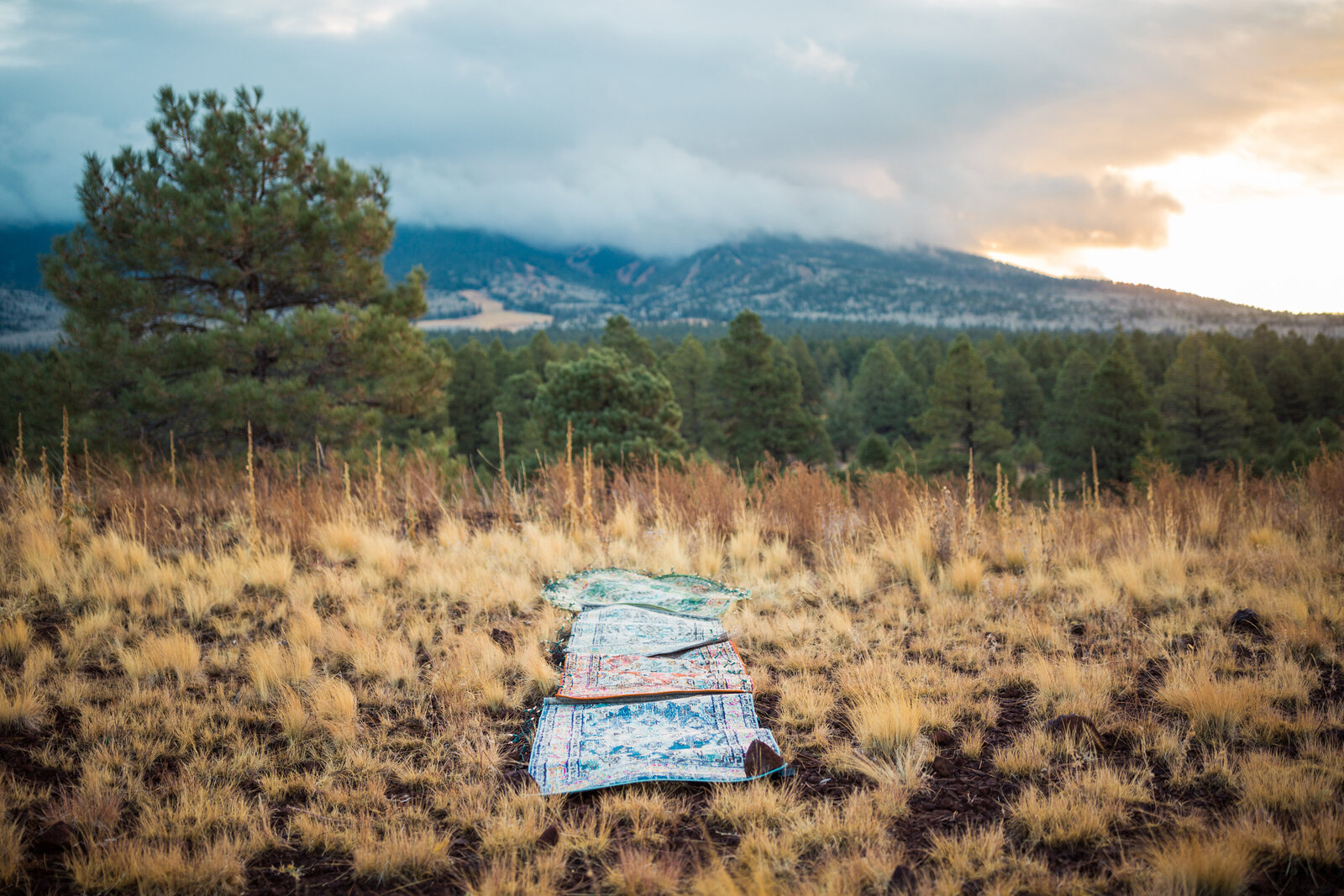 elopement ceremony location in an open field in flagstaff in front of snow bowl mountain