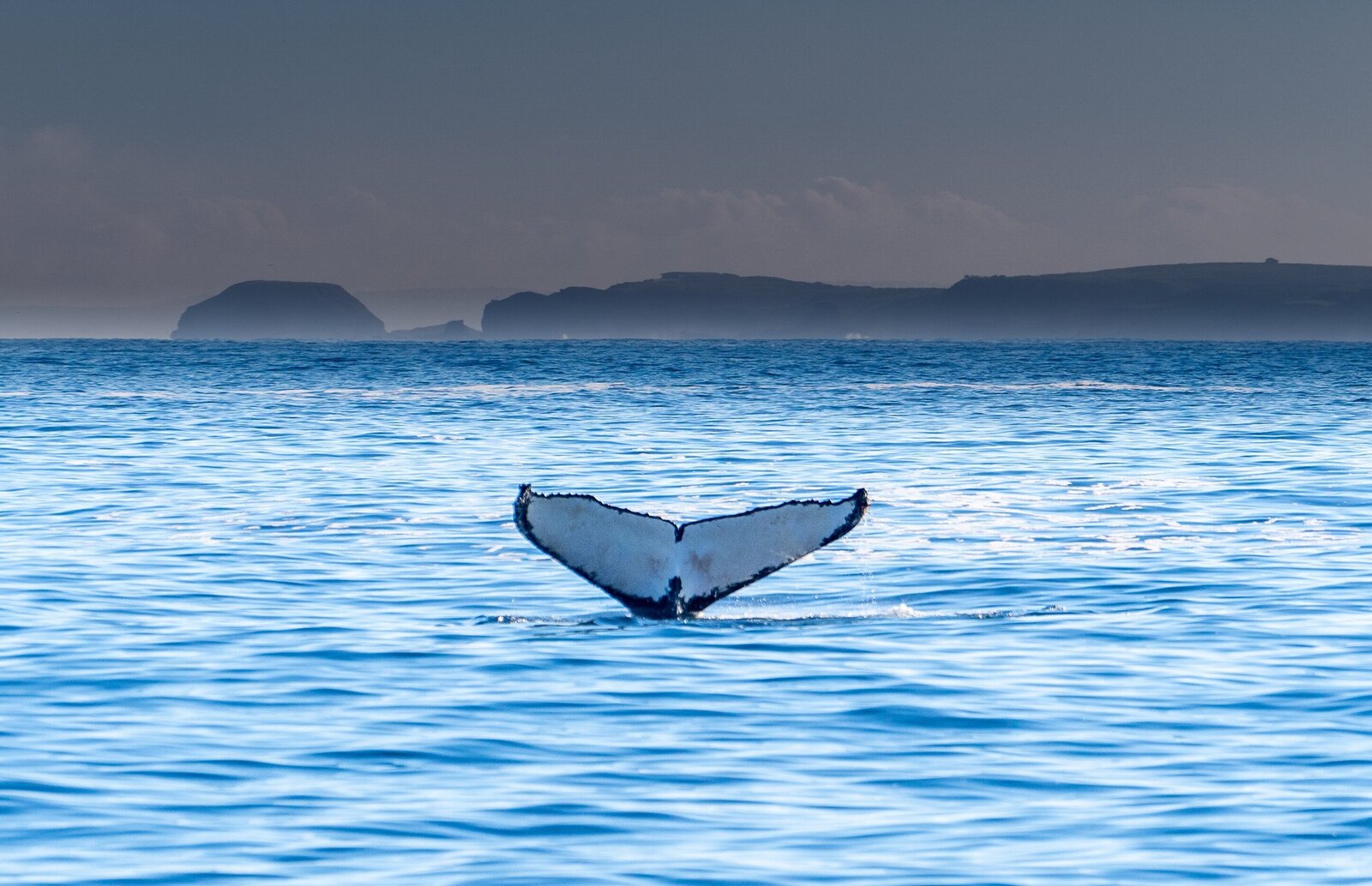 k-b-nvbcYV5_EAk-unsplash