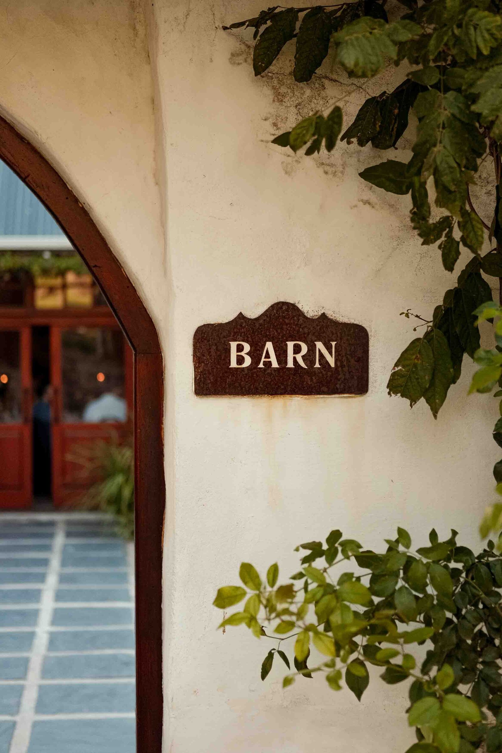 Destination-Wedding-Photographer-Cape-Town-FOMO-Fotografie-203