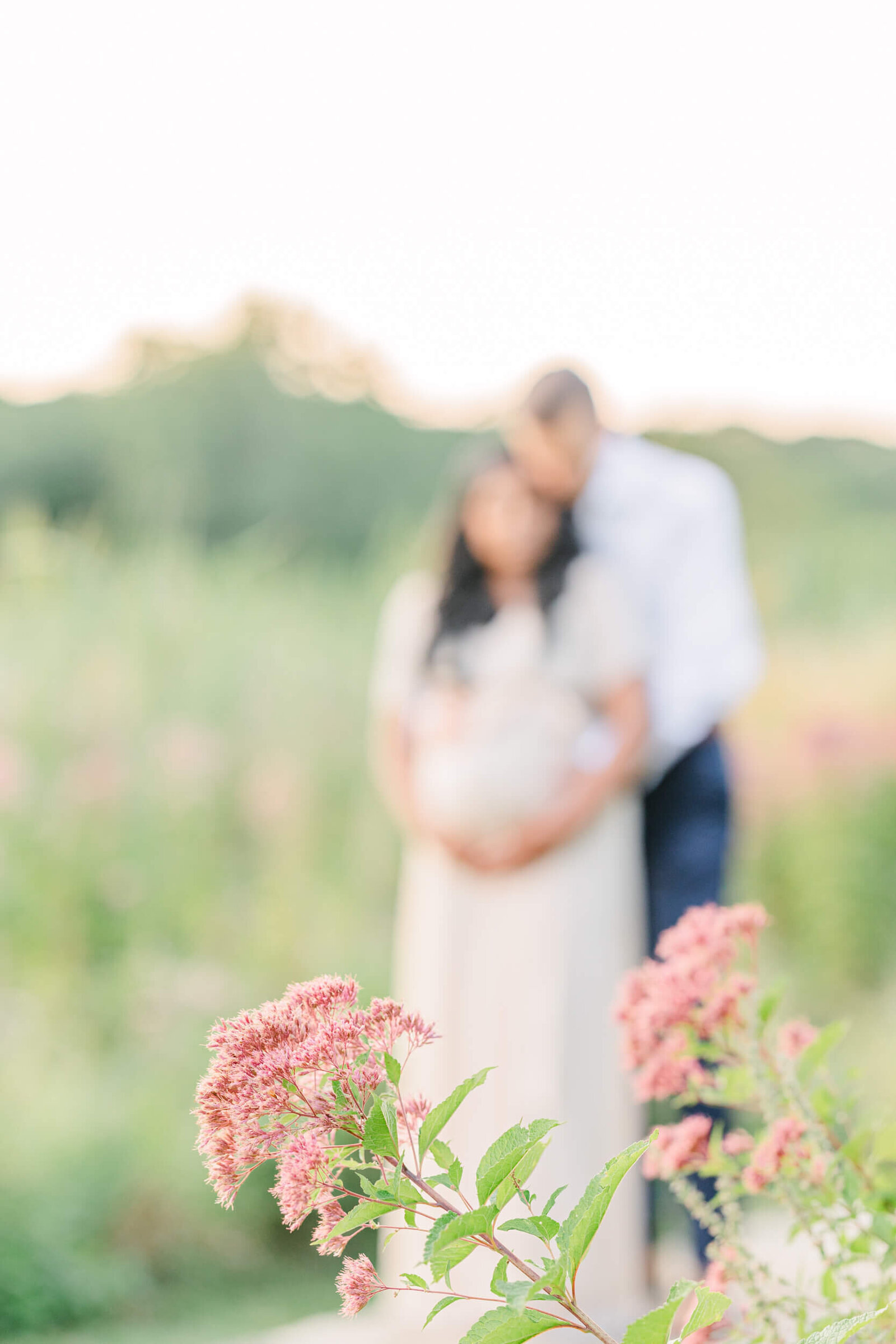 Focus is on pink summer wild flowers with husband holding his pregnant wife close to him in the blurry background