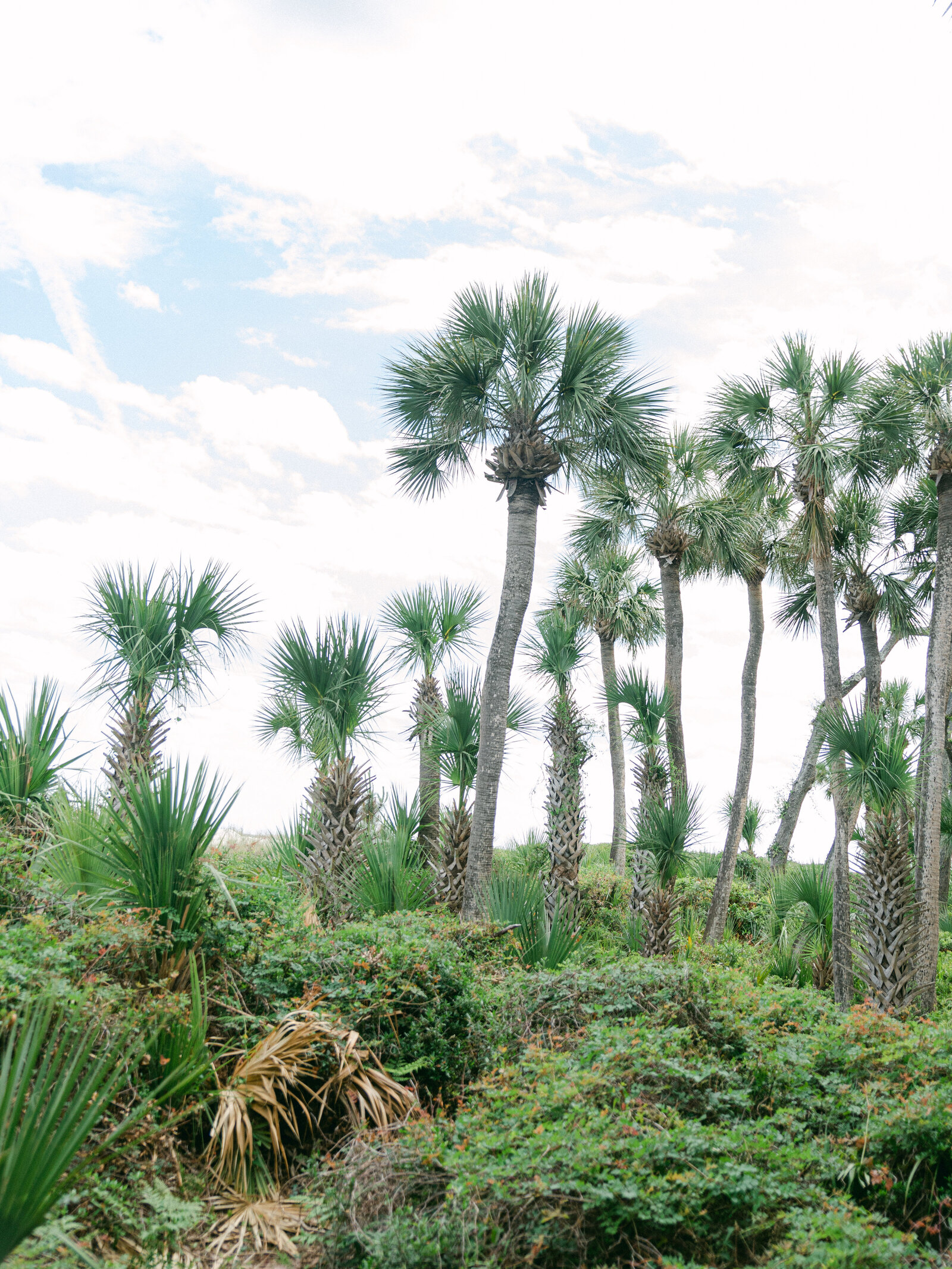 OmniOceanfrontResortWedding-HiltonHeadSouthCarolina-ToriannaBrookePortraiture133