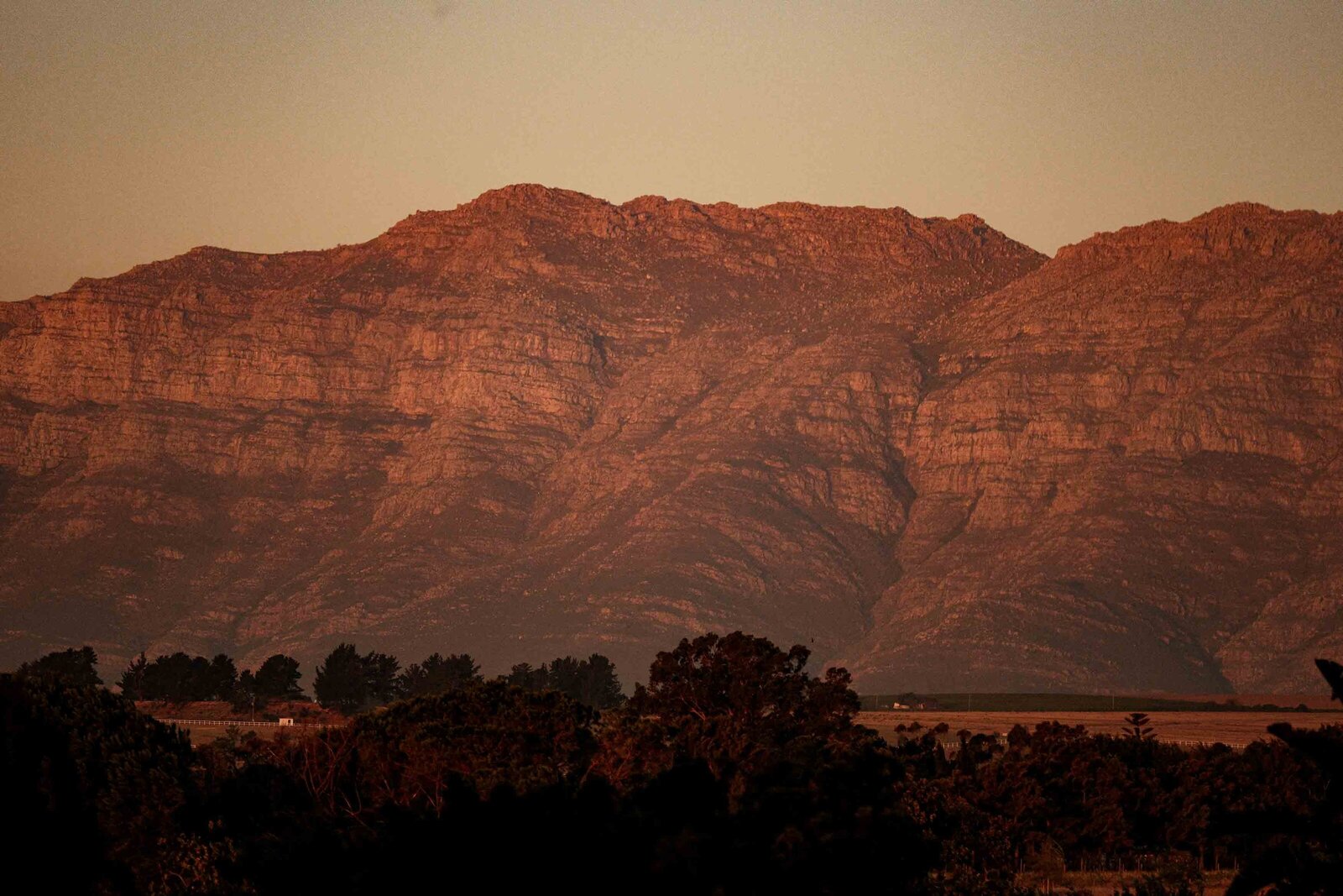 Destination-Wedding-Photographer-Cape-Town-FOMO-Fotografie-195
