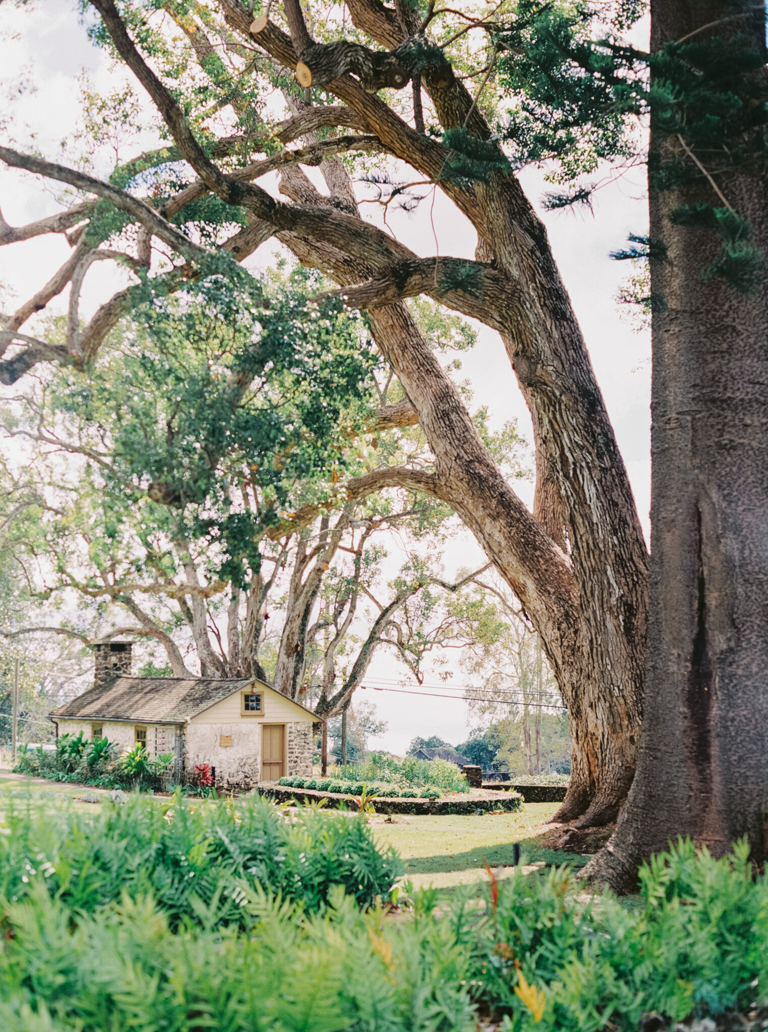 Fine Art Landscape  (2 of 1)
