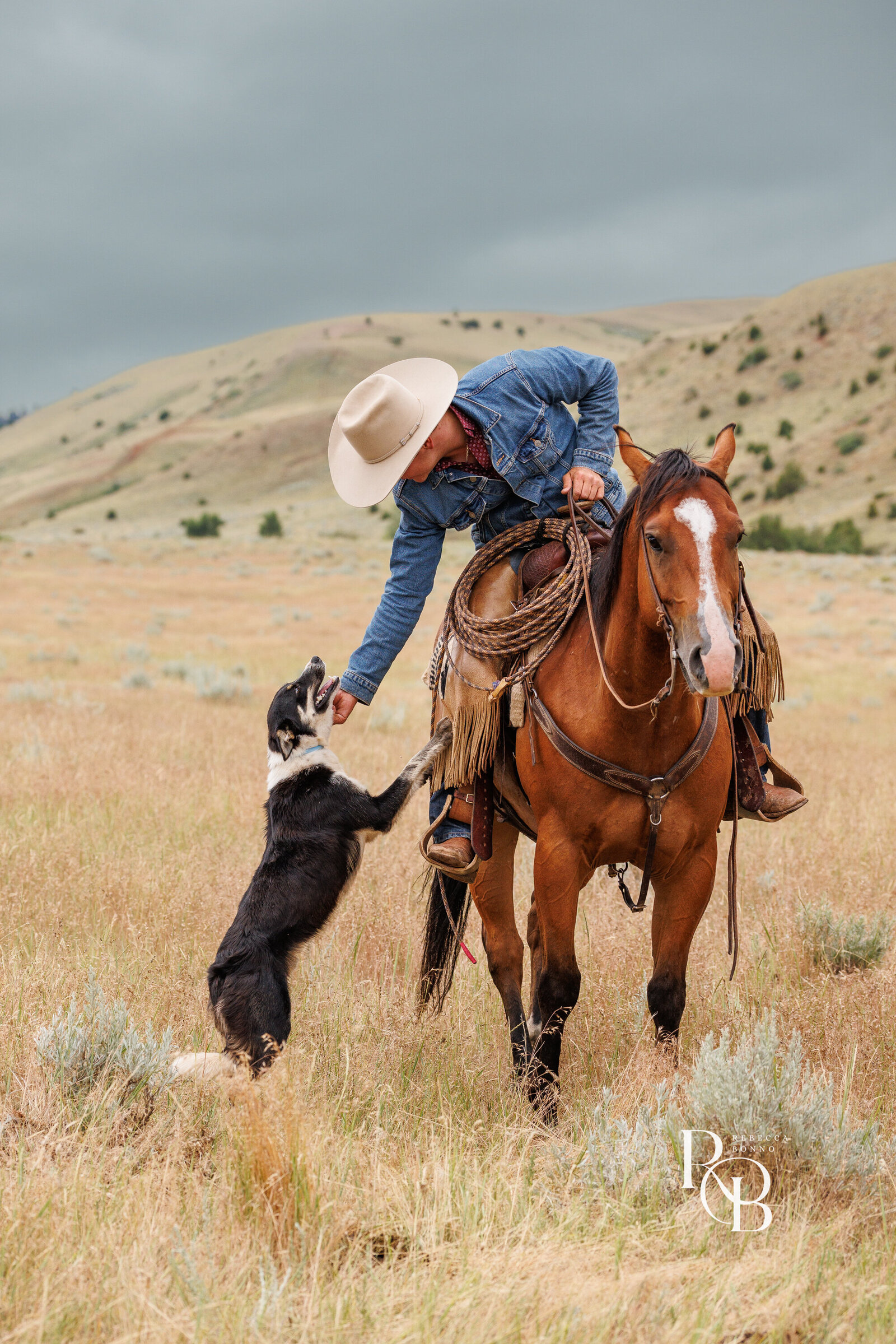 202507_dryhead _ranch_RBonno-100-18