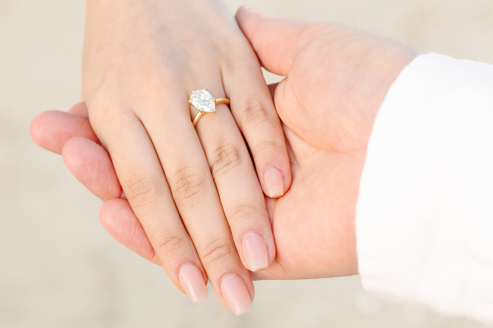 Seaside Monterey Beach Proposal 24