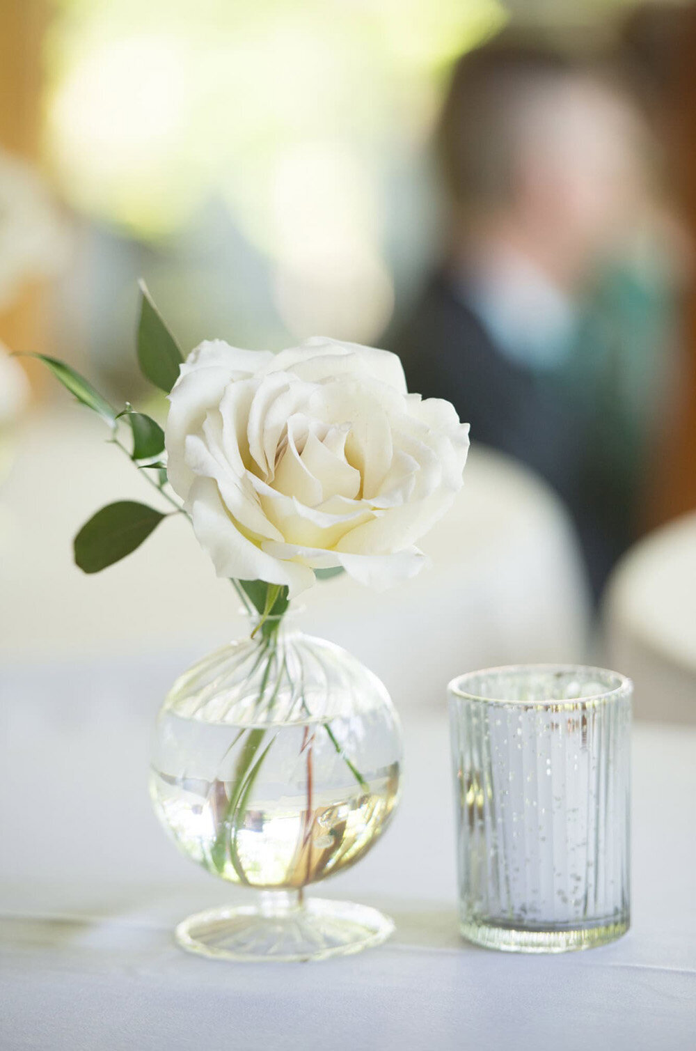 small white rose in round vase