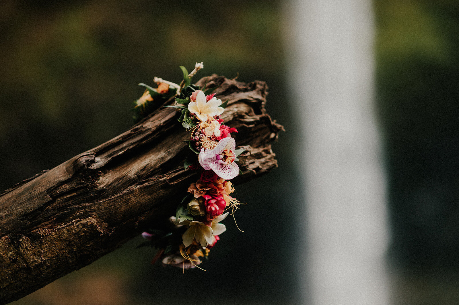 kauai-wedding-photographer 002