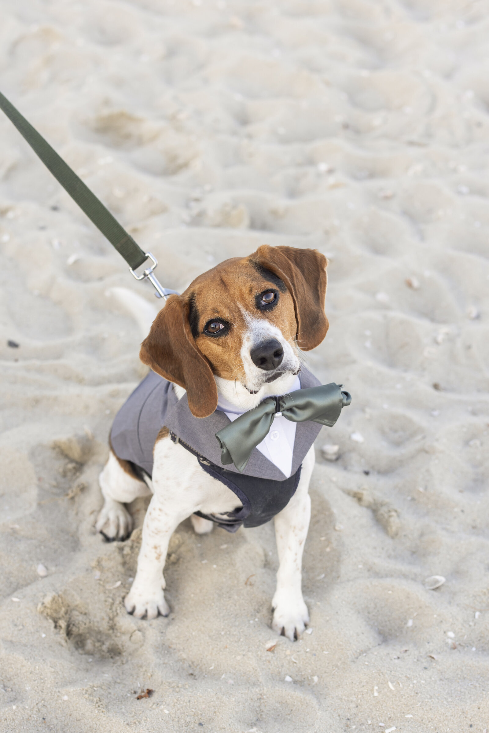 Angela Greenlaw Photography Cape Cod Boston Newport Portsmouth Wedding Photographer-238