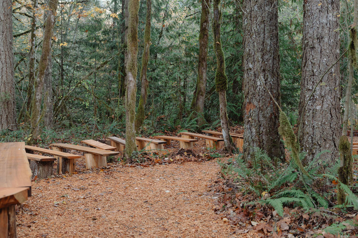 Outdoor ceremony site with wooden bench