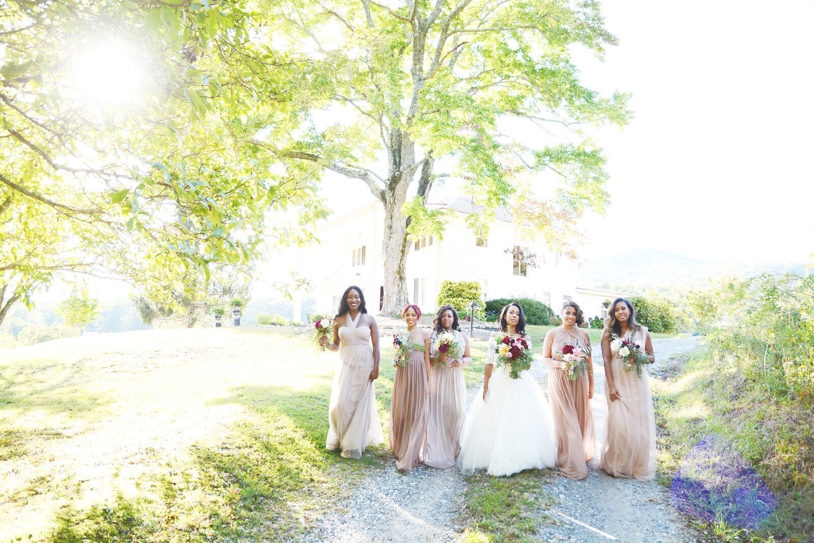45-Cleveland Mountain Laurel Farm - Atlanta Wedding Photography - Gabby + Brice - Six Hearts Photography_0469-X3
