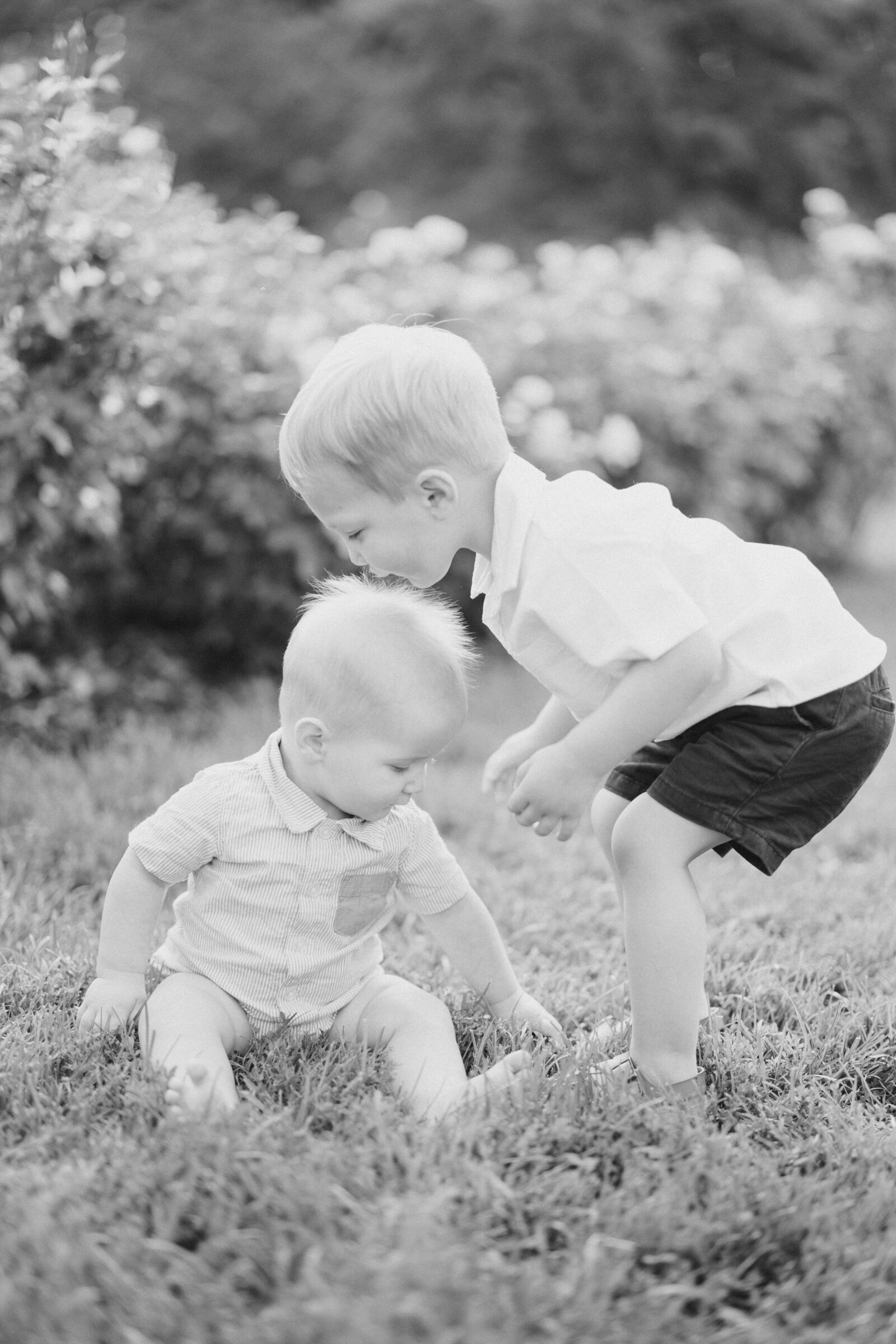 minneapolis maternity photographer