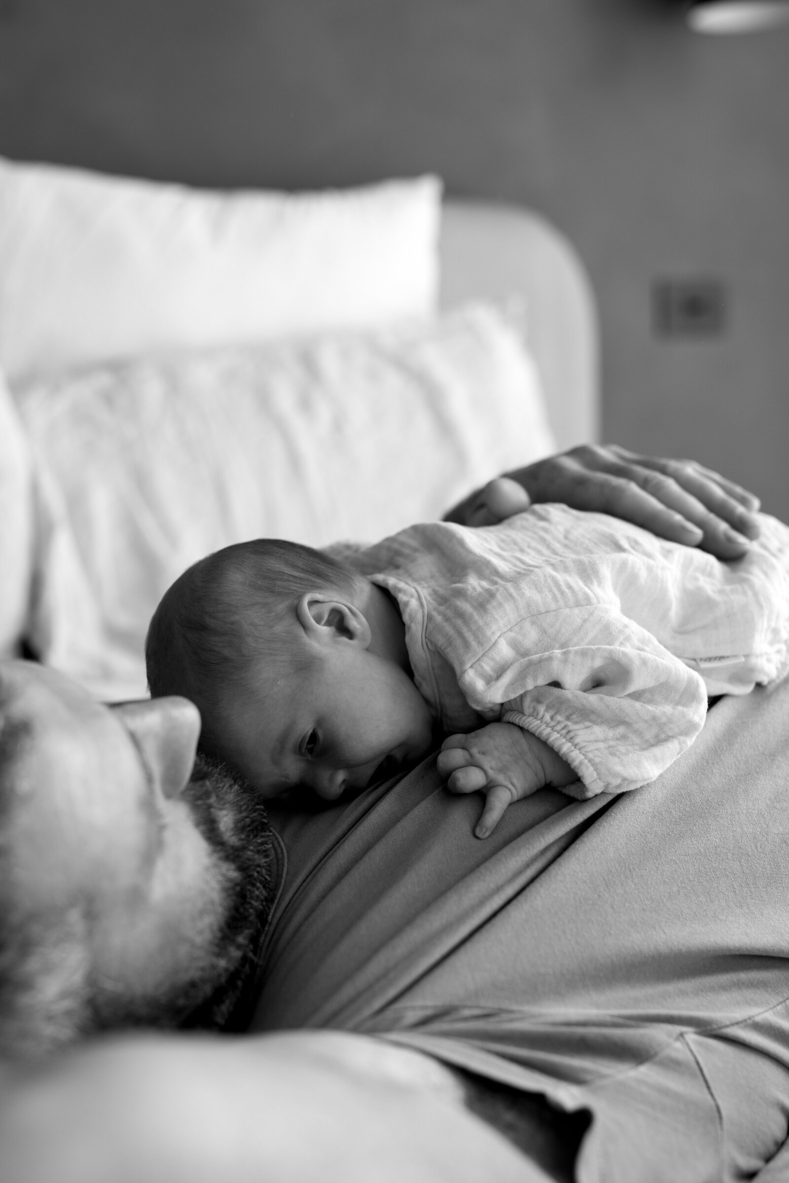 Lainey (1)