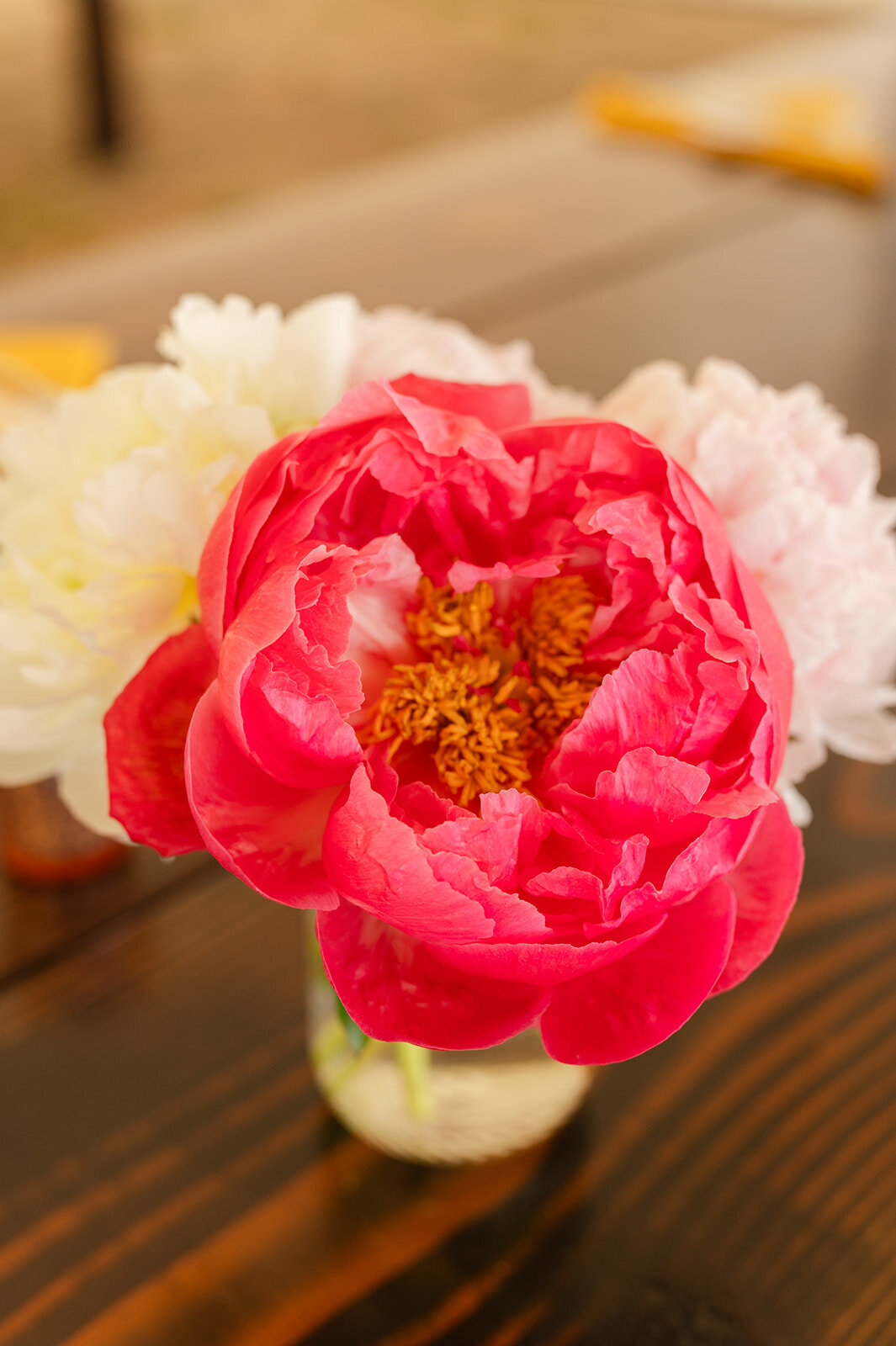 Sarah-Robbie_Caylie-Mash-Photography_0862_websize
