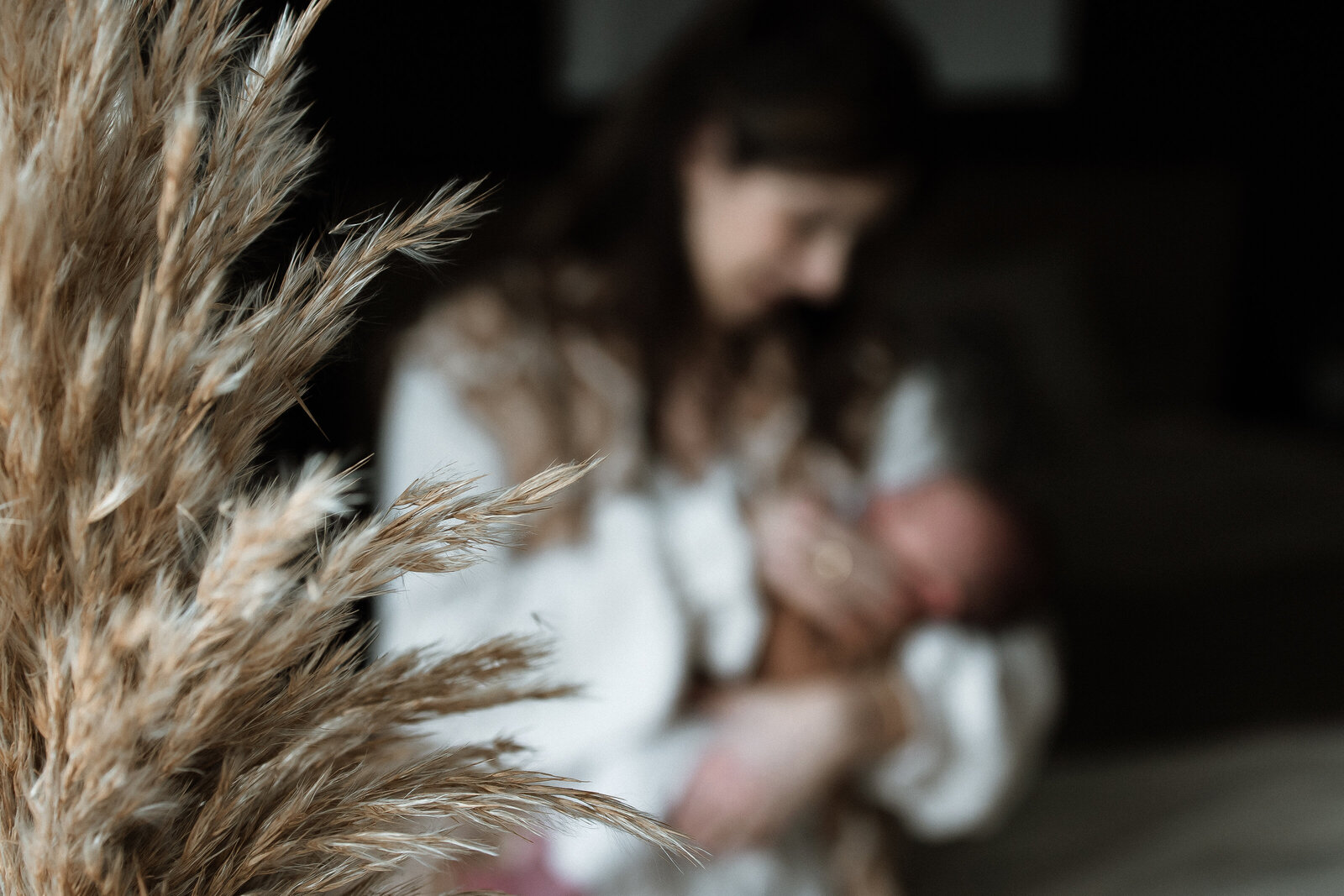 newbornshoot newborn fotoshoot newborn fotograaf fotoshoot baby wanneer een newbornshoot valkenswaard eindhoven la nouk fotografie