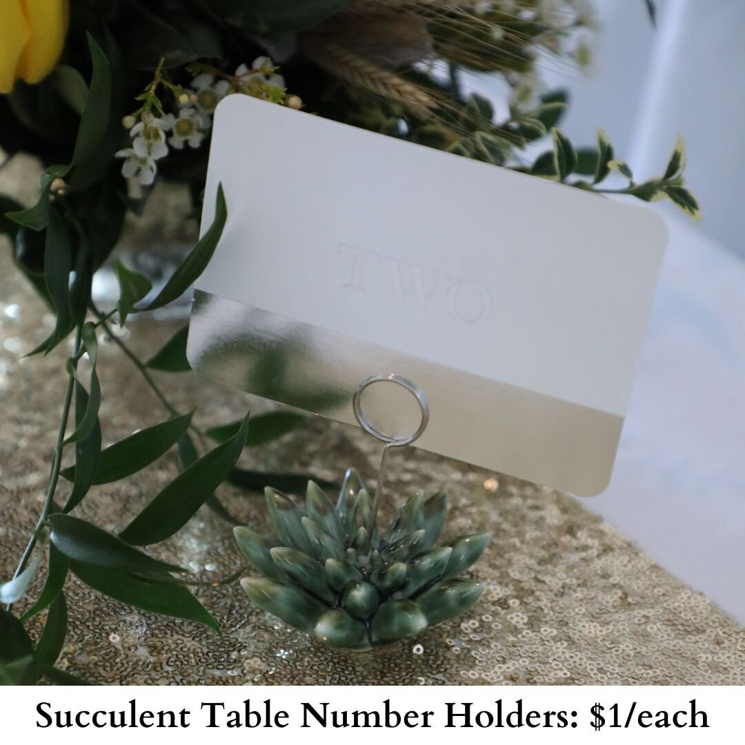 Succulent Table Number Holders-451