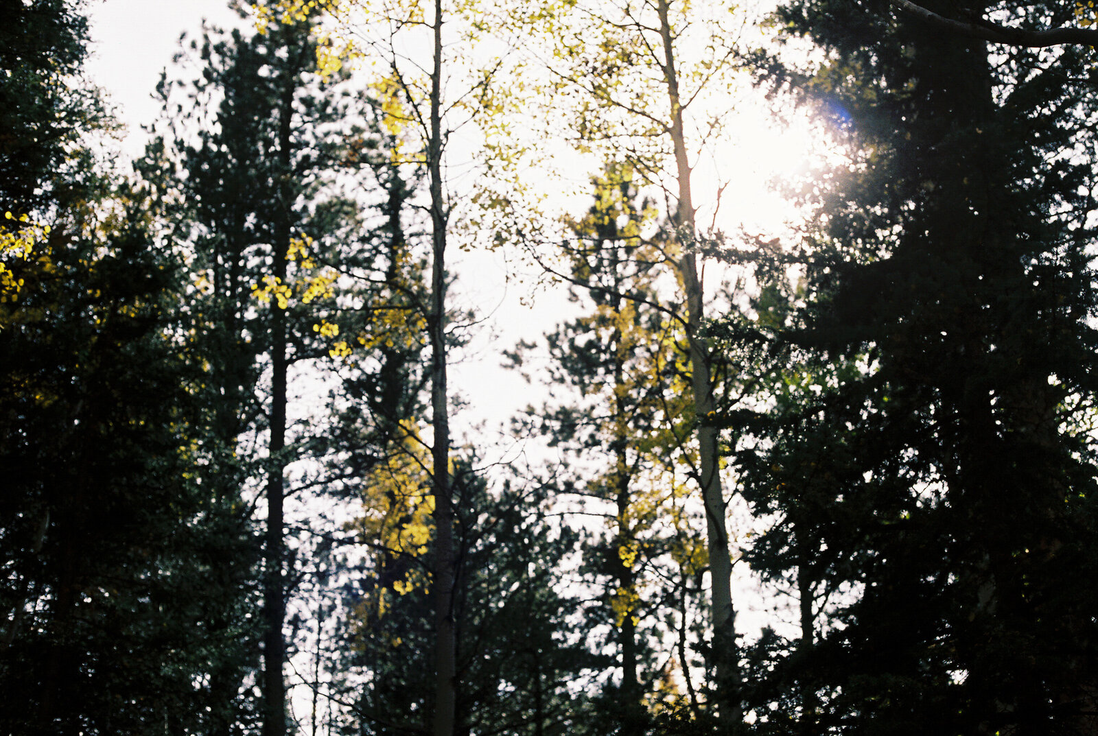 ryleemakennaphoto-31