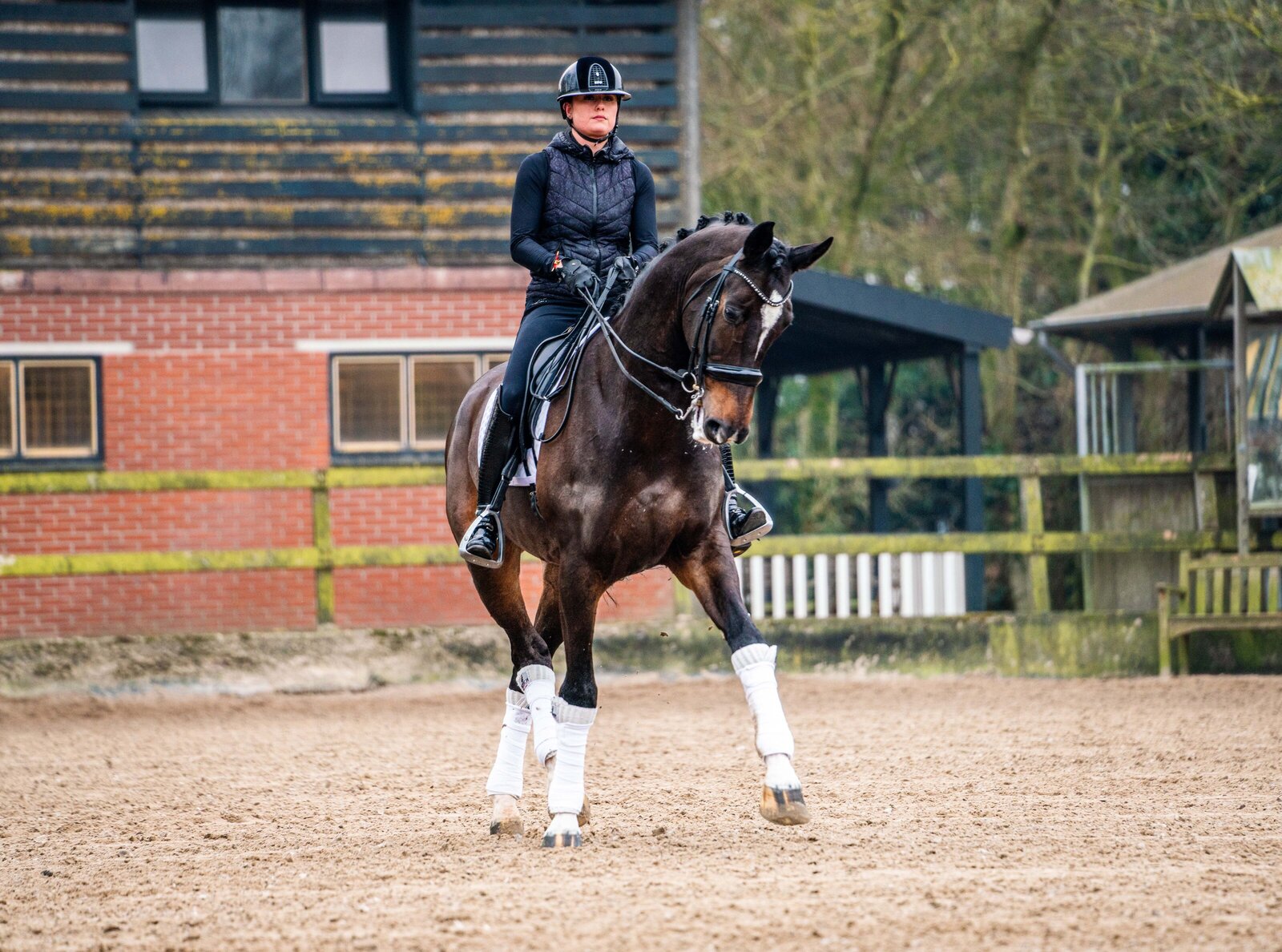 Verkoop foto gemaakt door Cheyenne Vlottes (4)