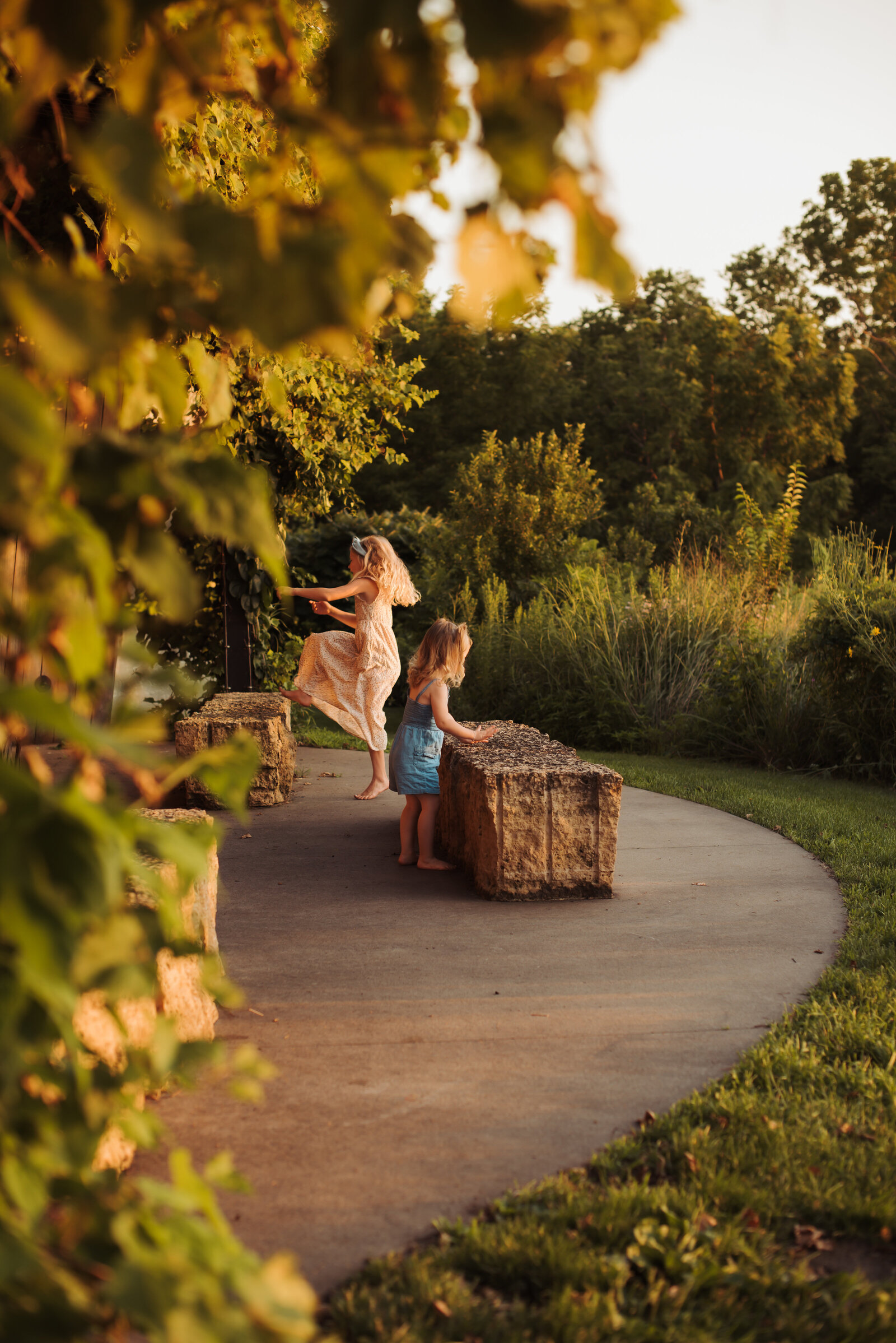SUN_5549-Edit